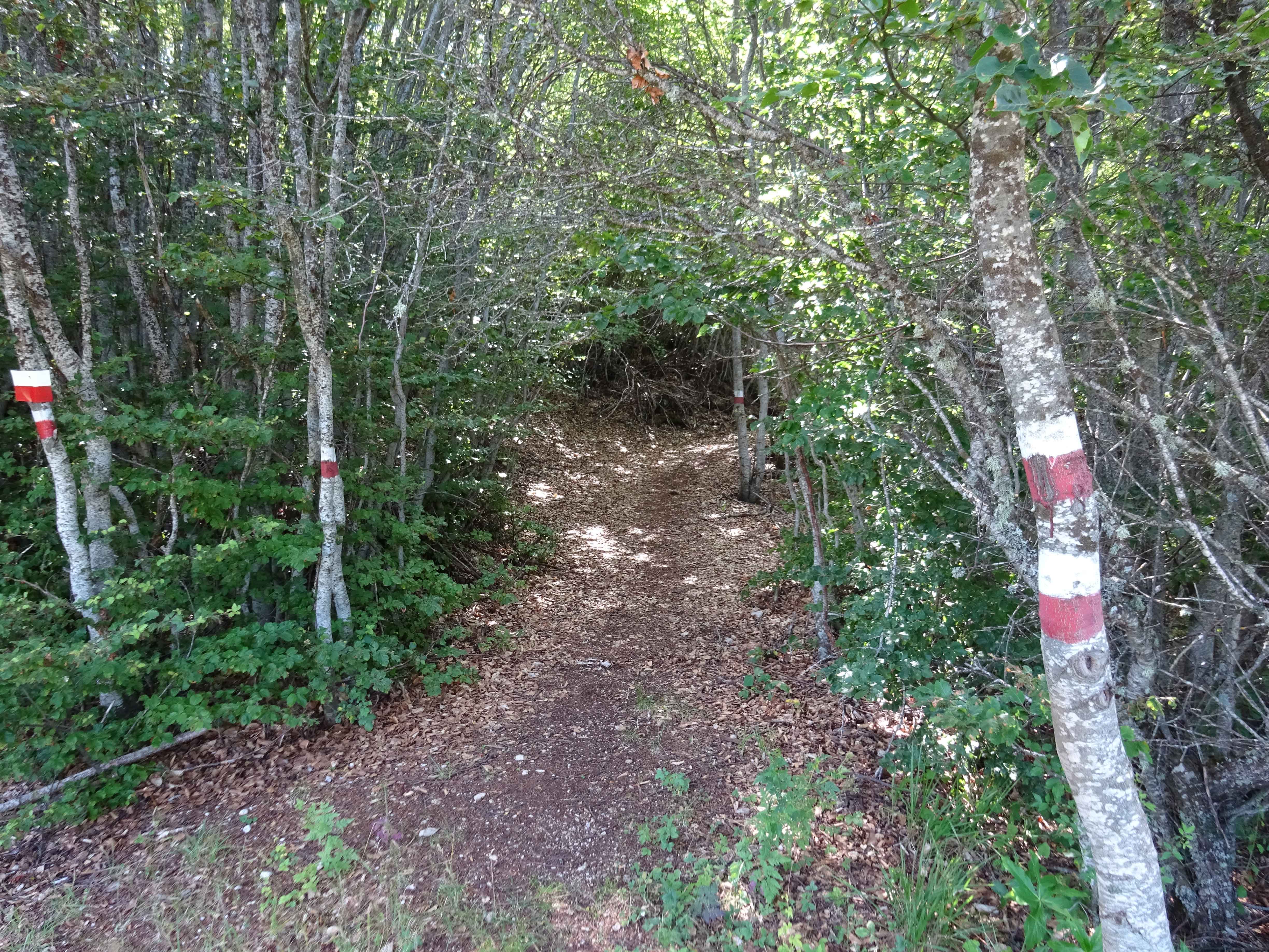 Leko's trail Galicica National Park