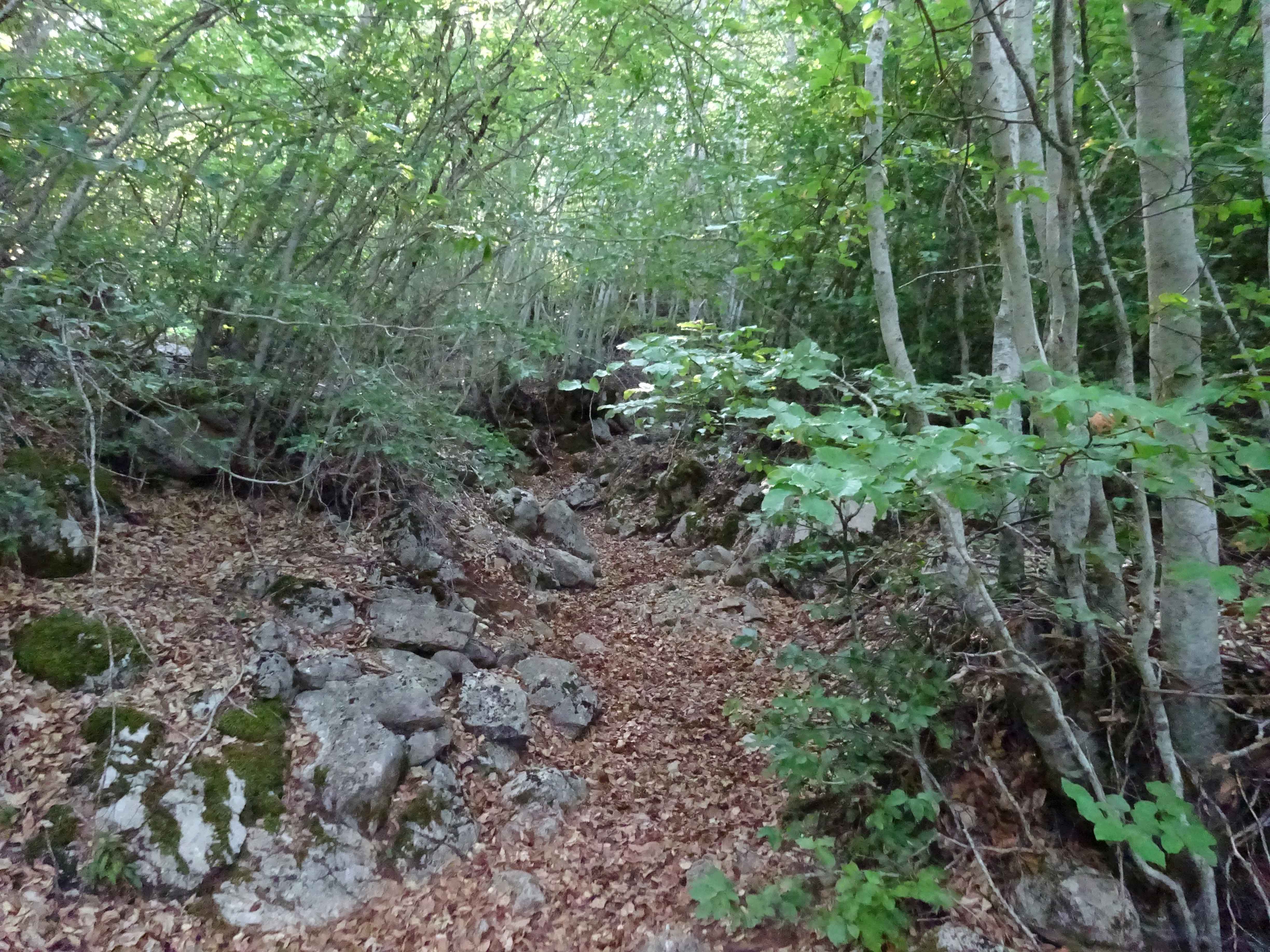 Tri Mazi peak hike in Galicica National Park