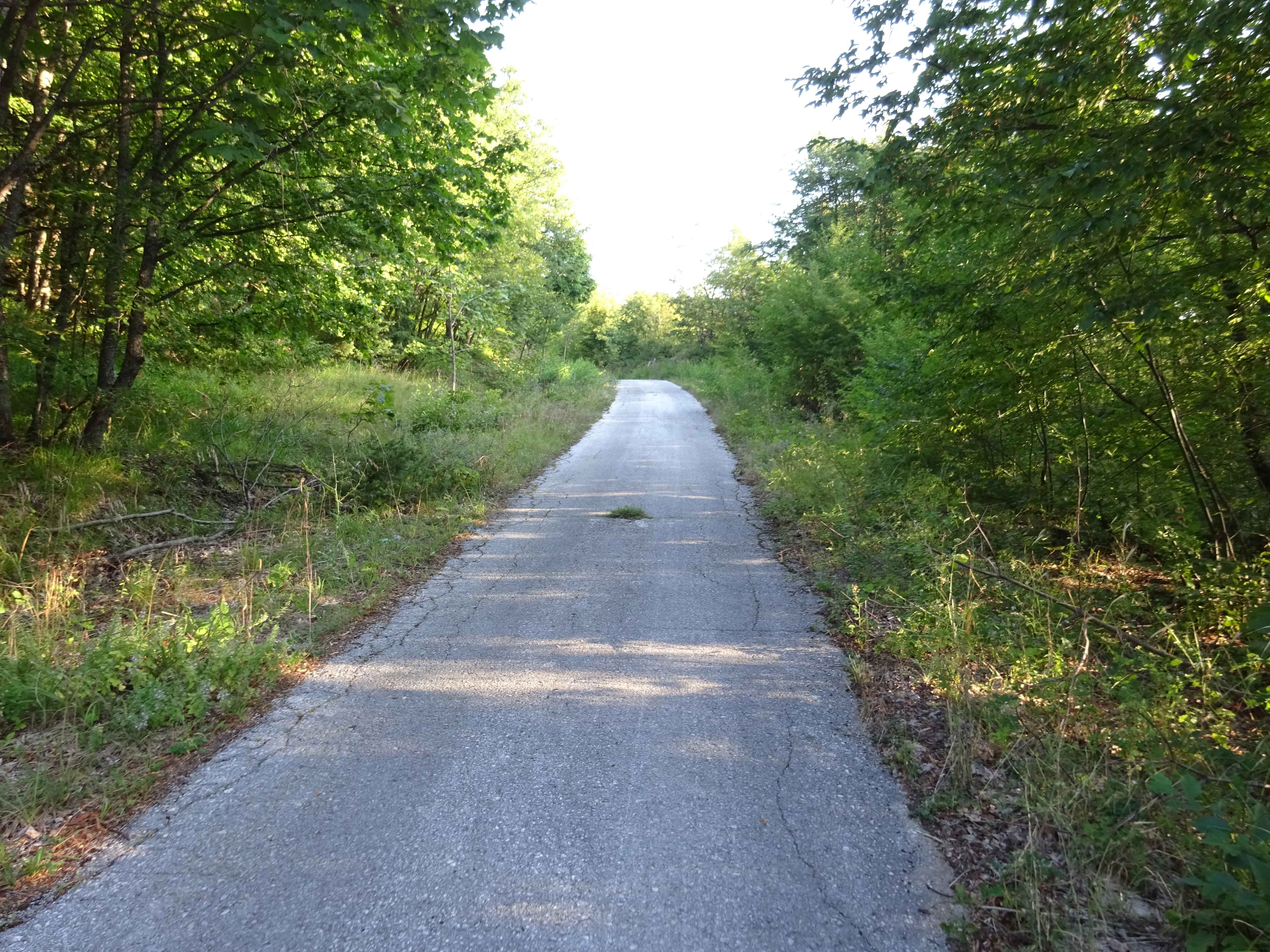 Asphalt road leading into Galicica National Park