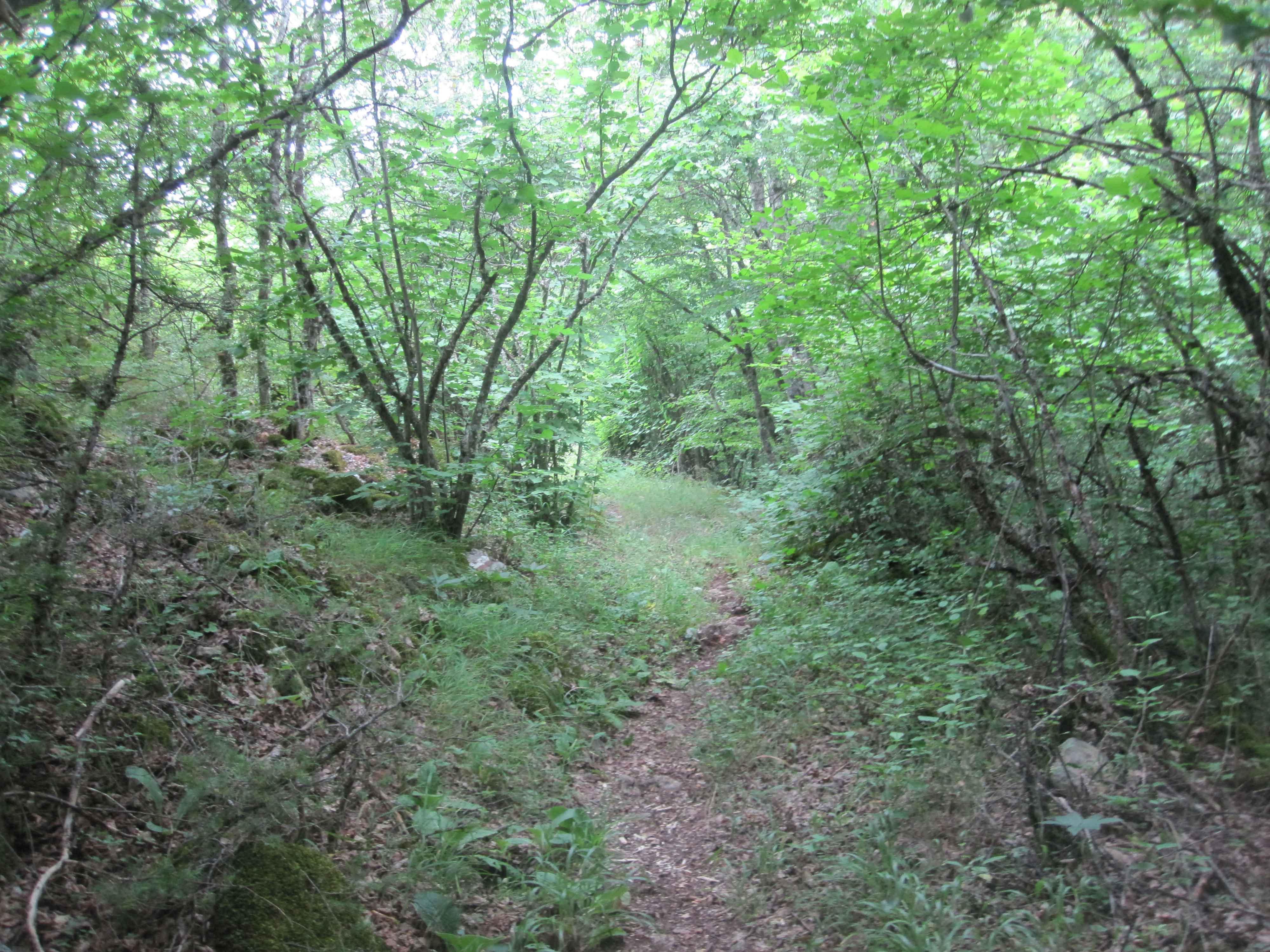 Leko's trail Galicica National Park
