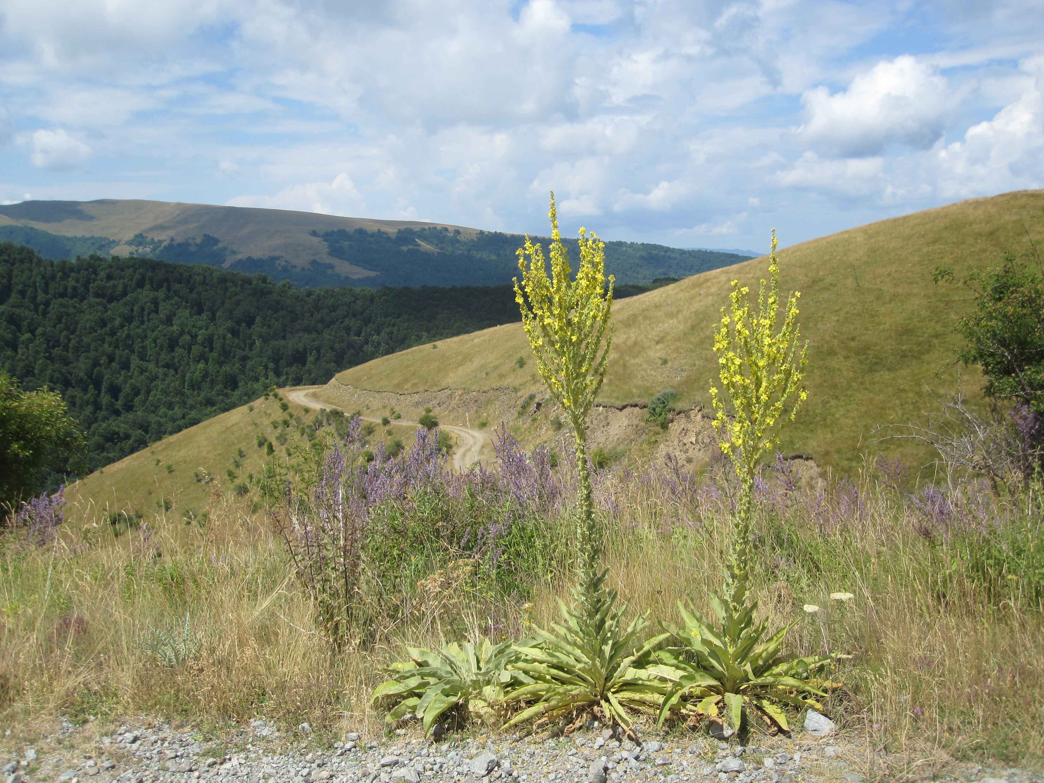 Hike to Ruen peak near Kriva Palanka Macedonia hiking