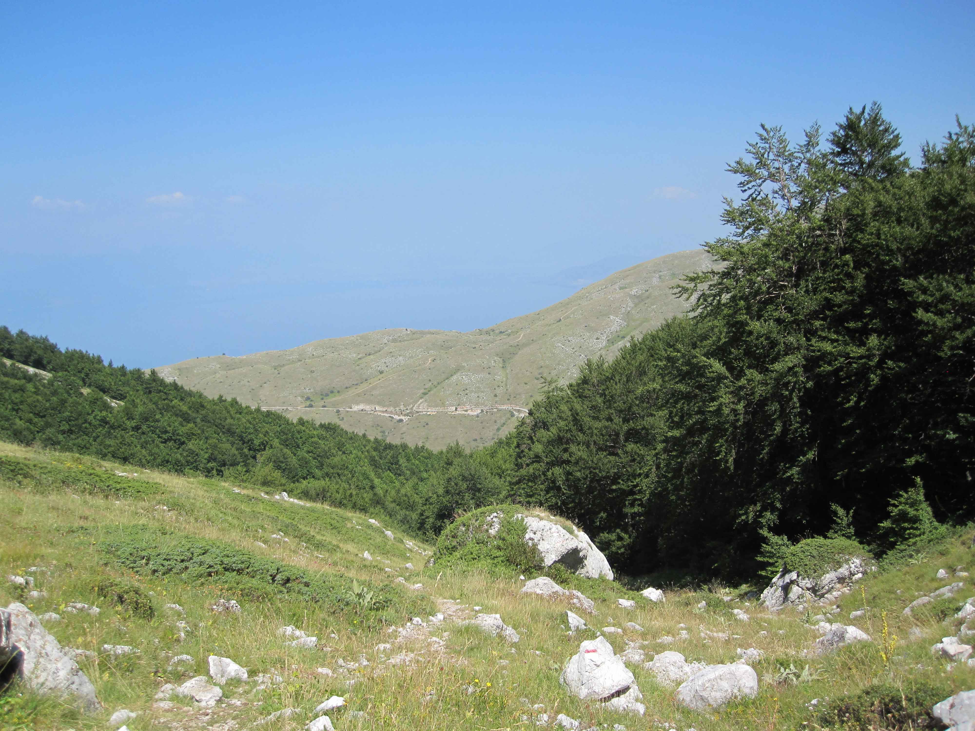 Just above the tree line Magaro Peak Galicica National Park