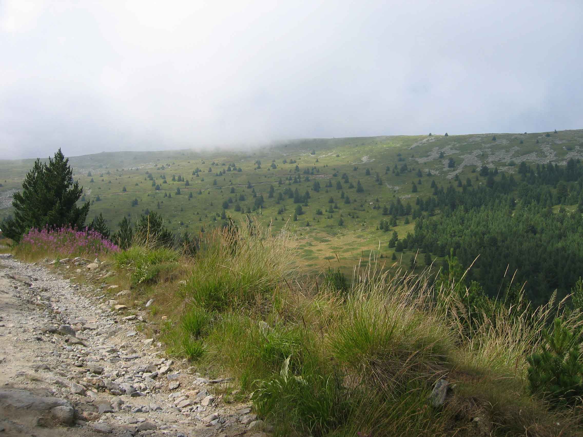 Pelister National Park