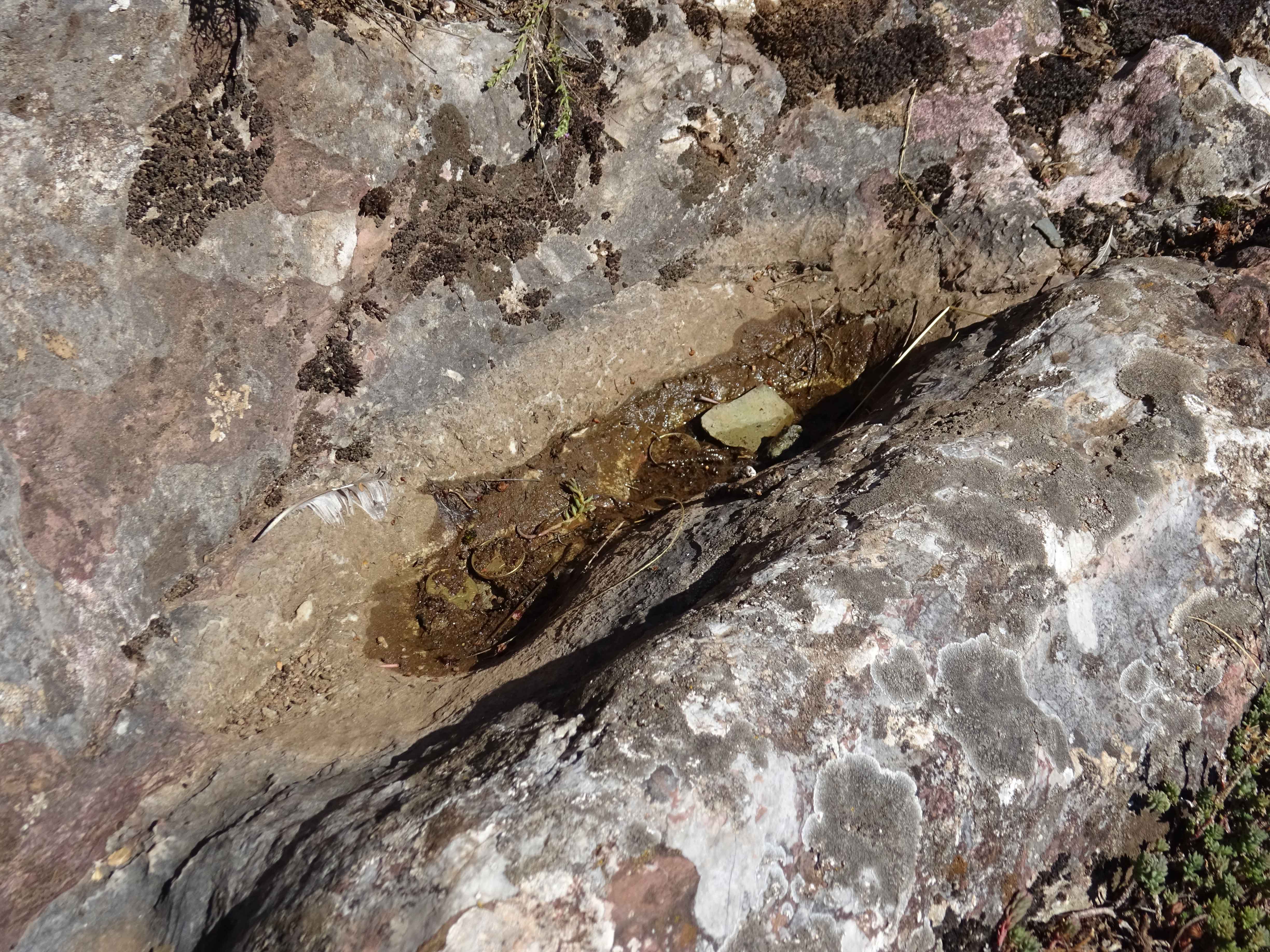 King Marko's footstep in Mavrovo National Park