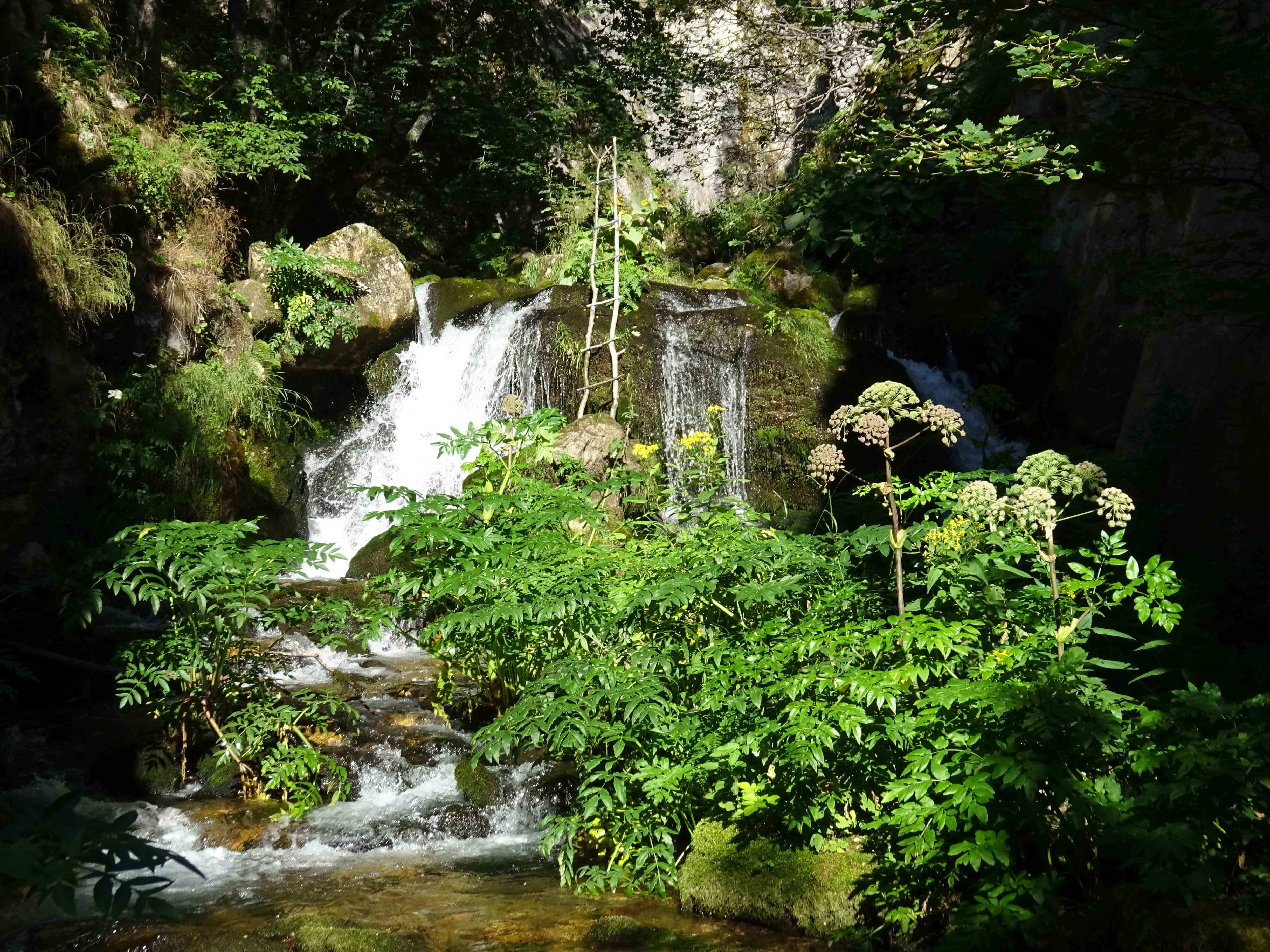 Biljana Waterfall #2 near Tresonche in Mavrovo National Park