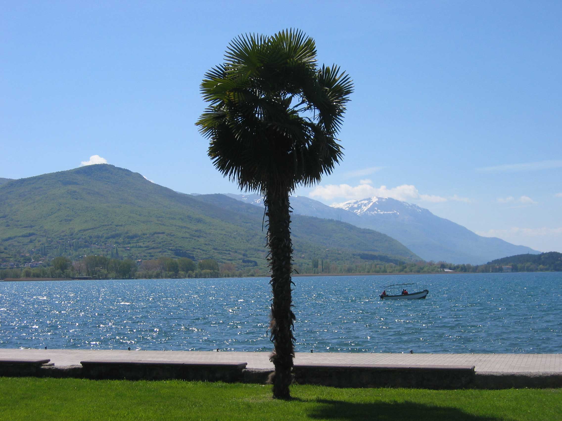 Lake Ohrid with palm, boat and mountains