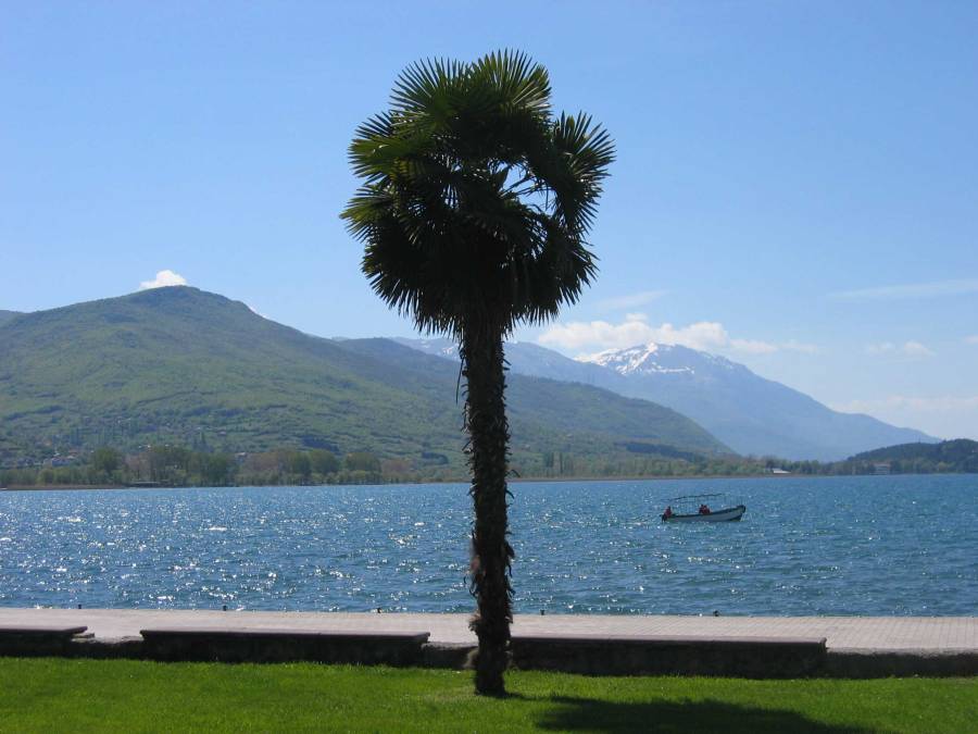 Lake Ohrid with palm, boat and mountains