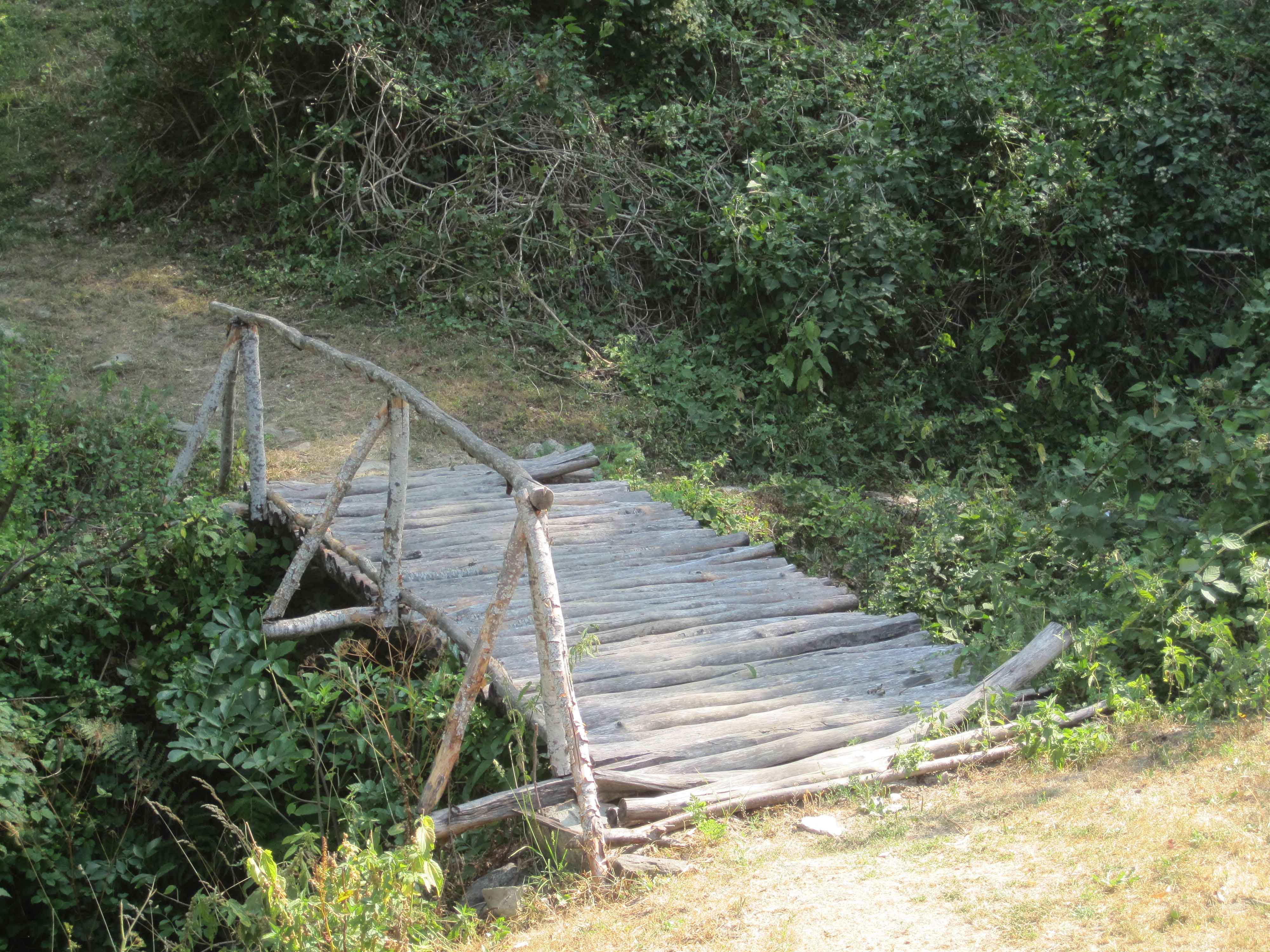 Wooden bridge at the start of the trail through the forest