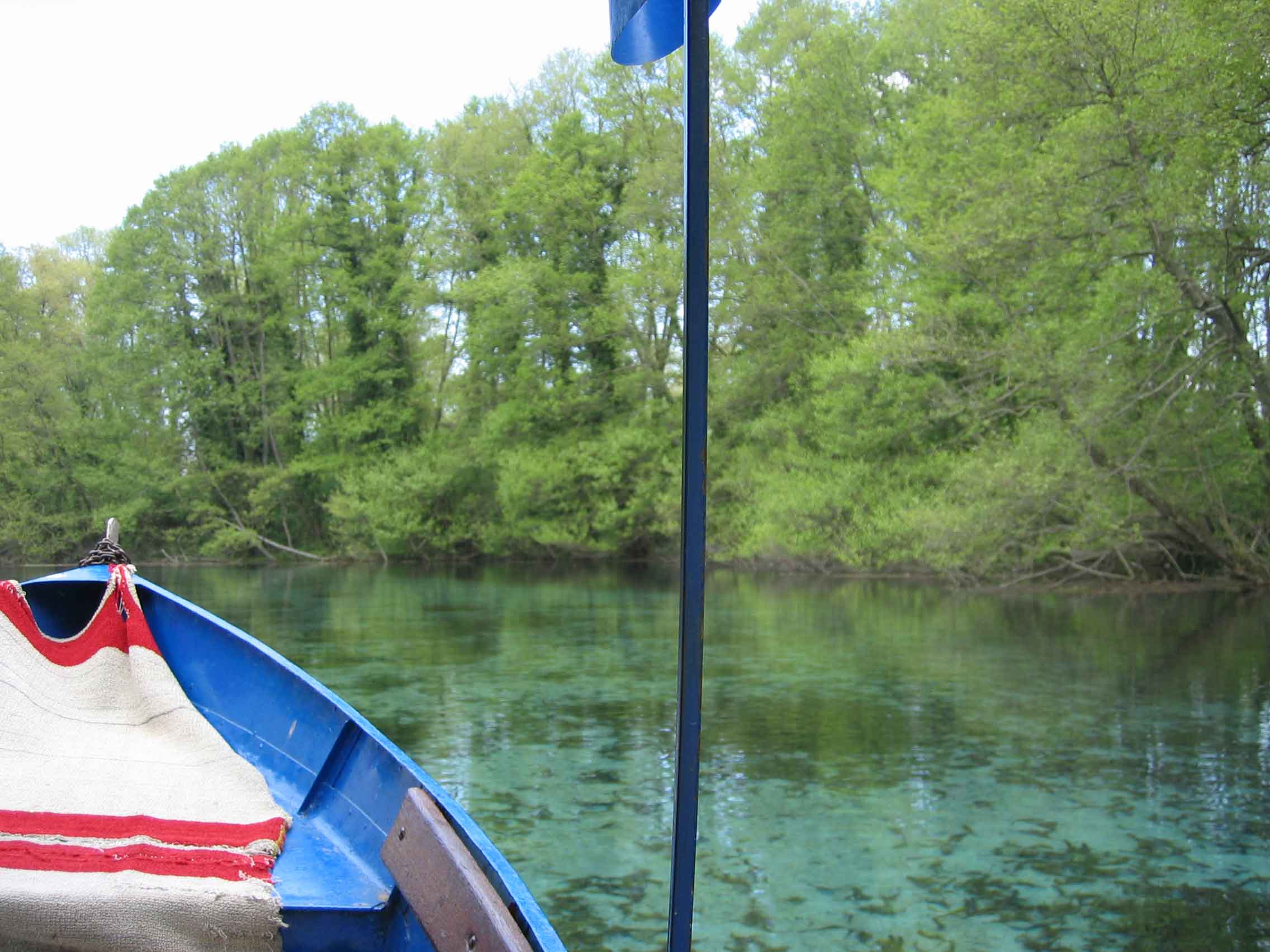Springs that feed Lake Ohrid at St Naum