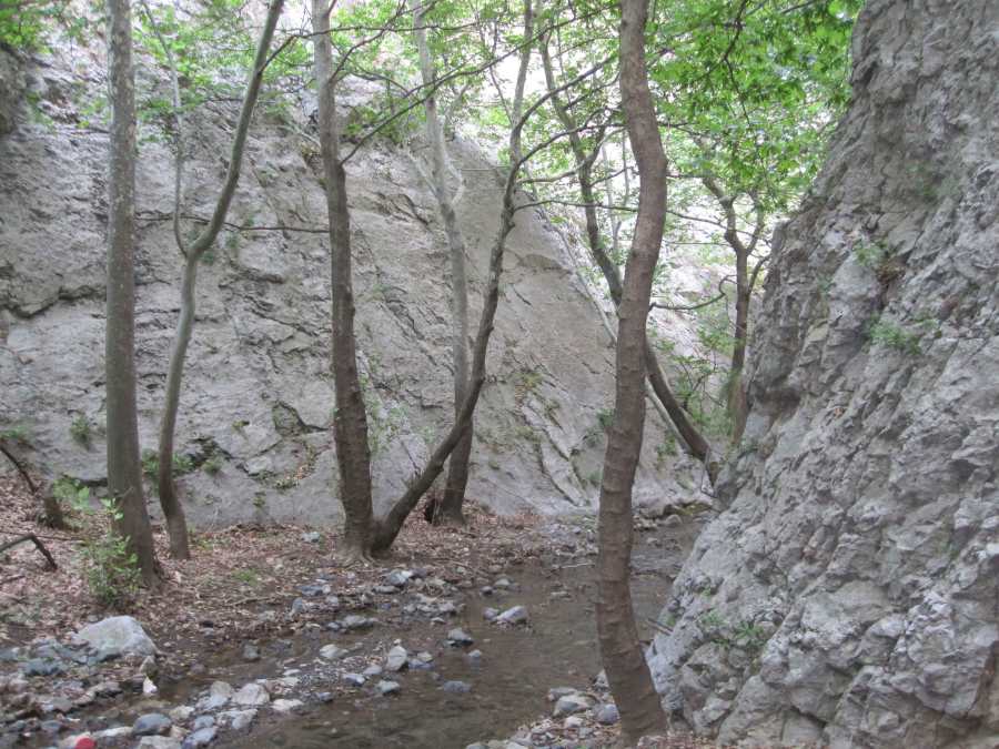 Demir Kapija to Koreshnica hike