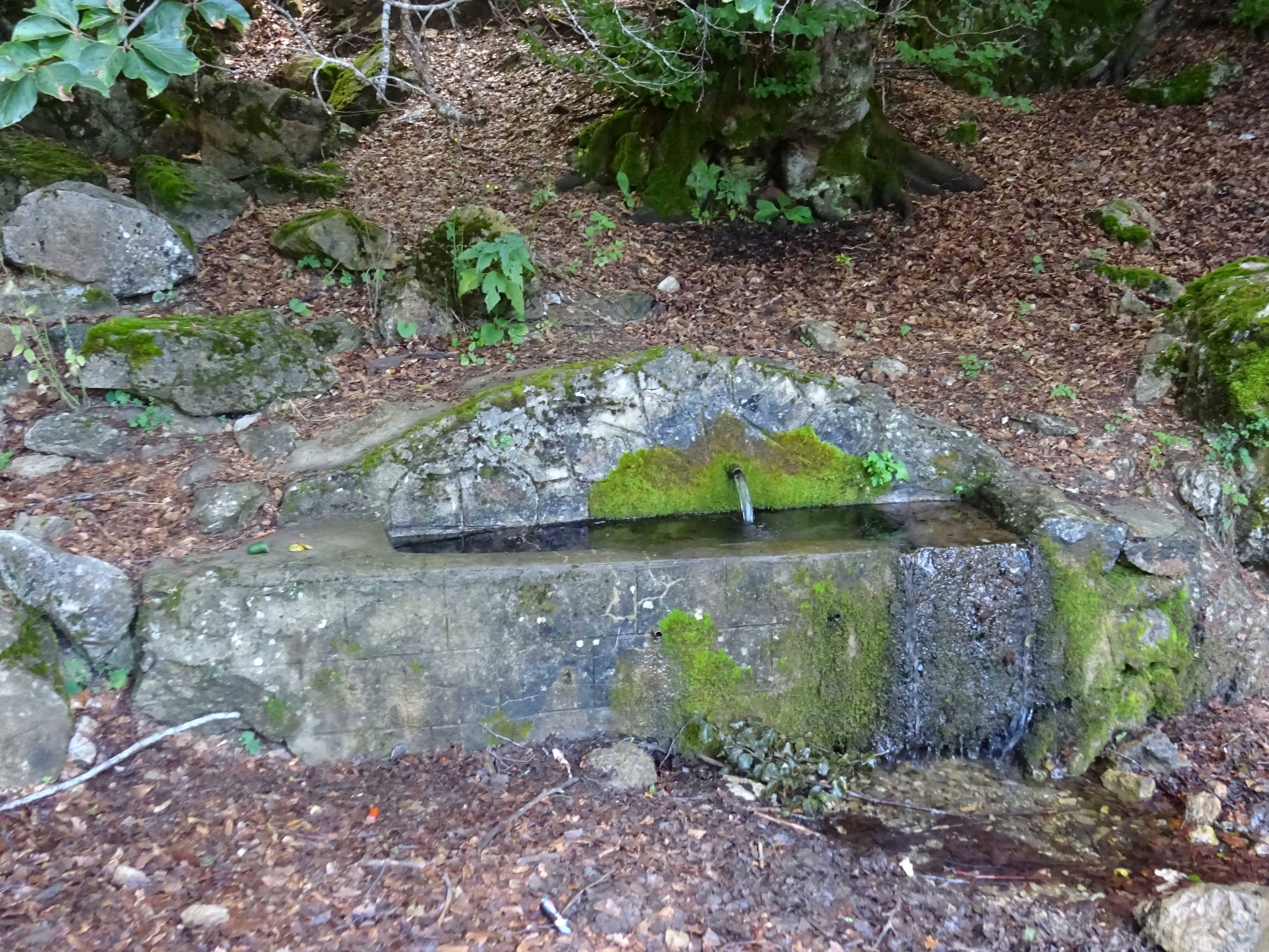 DSC01438-Zavoj-Ohrid-hike-Gabresh-Spring