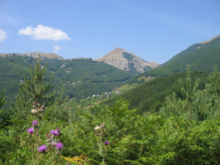 Mountain village Gorna Belica