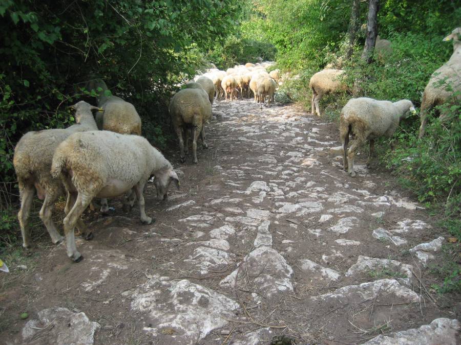 Via Egnatia near Radozda
