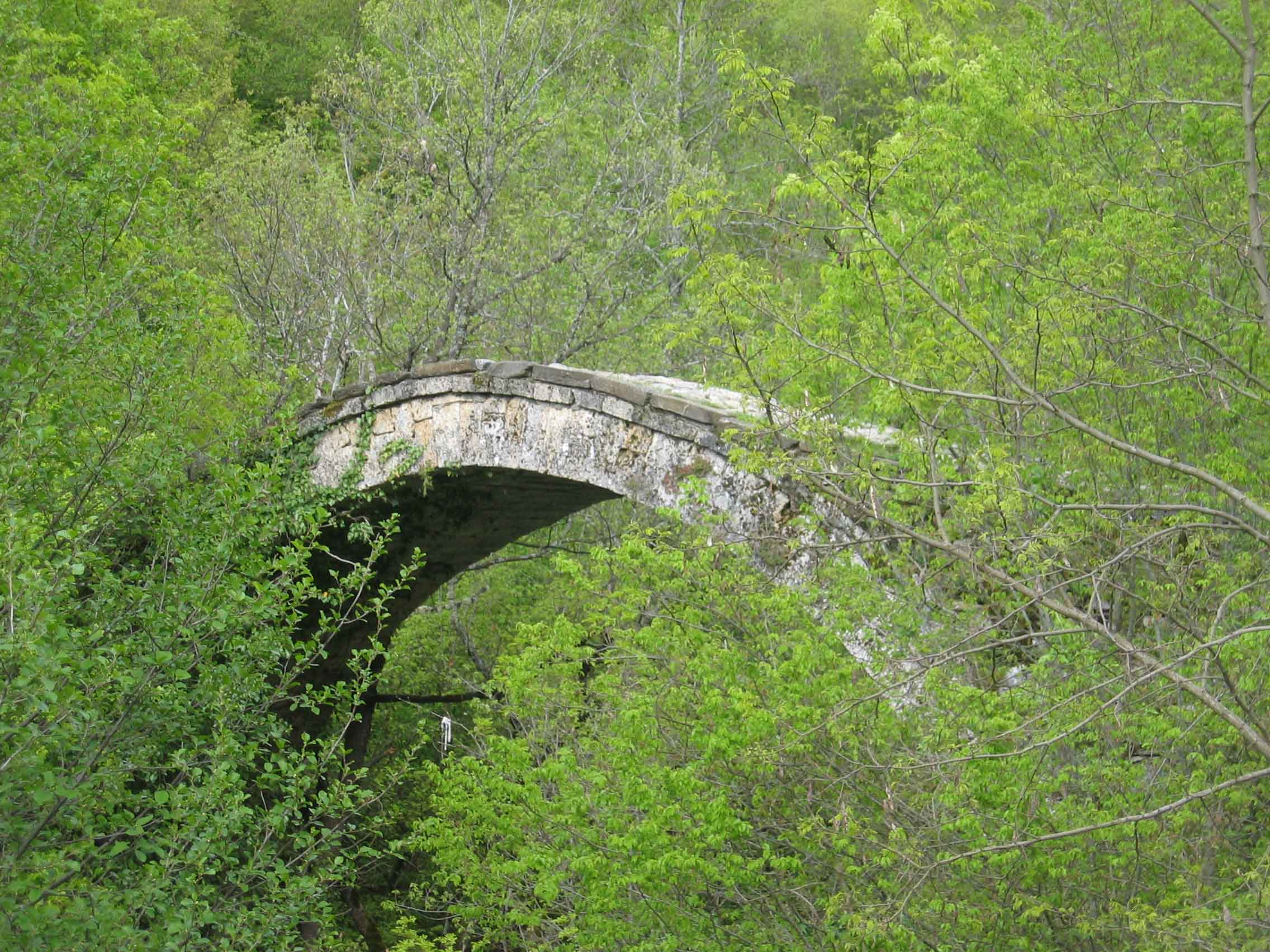 Deer Leap Bridge in Mavrovo National Park