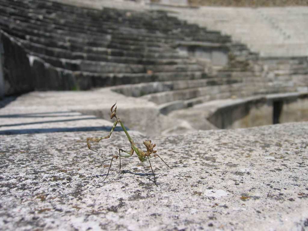 Theater at Heraclea Lyncestis archeological site near Bitola