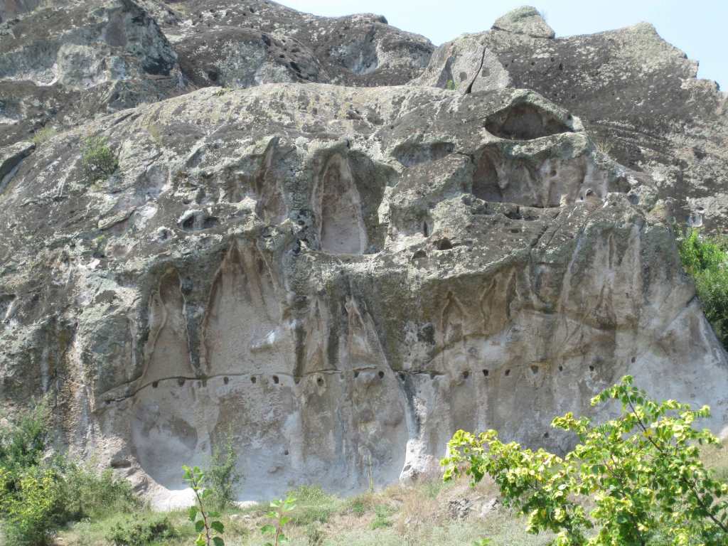 Beehives skull Cocev Camen