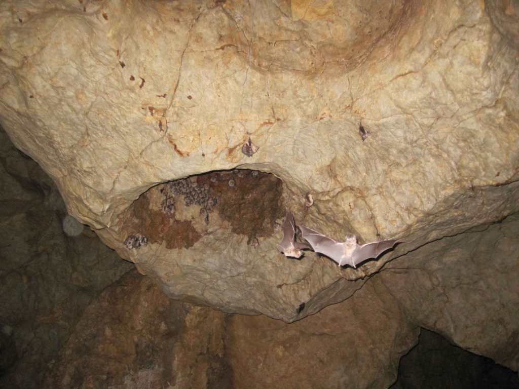 Bela Voda Cave in Demir Kaija