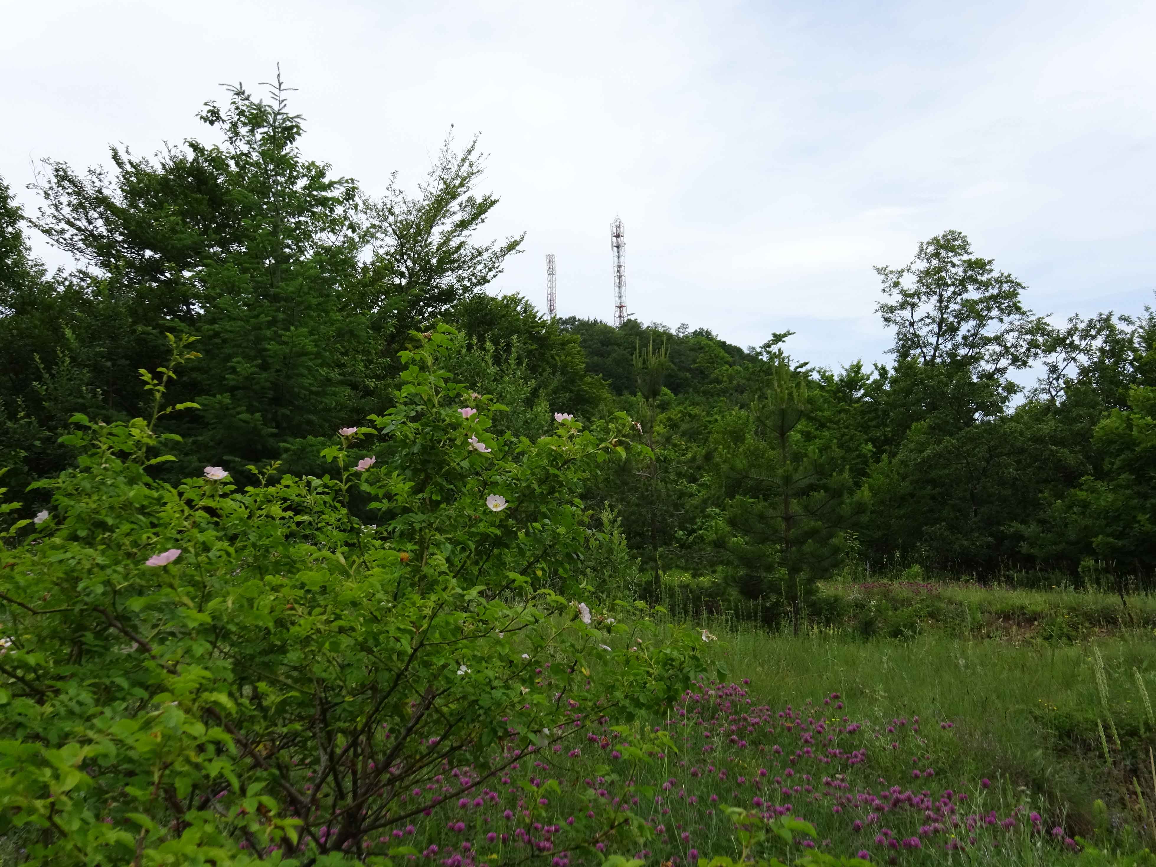 Antenna Station during Ilino hike in Galicica National Park