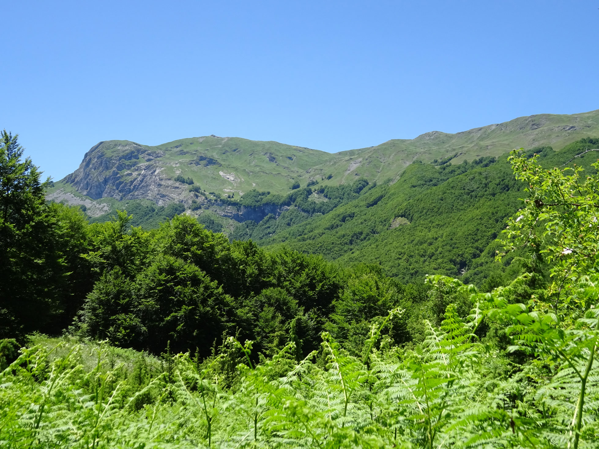 Hike from Trebishte to Lake Lokuv in Mavrovo National Park