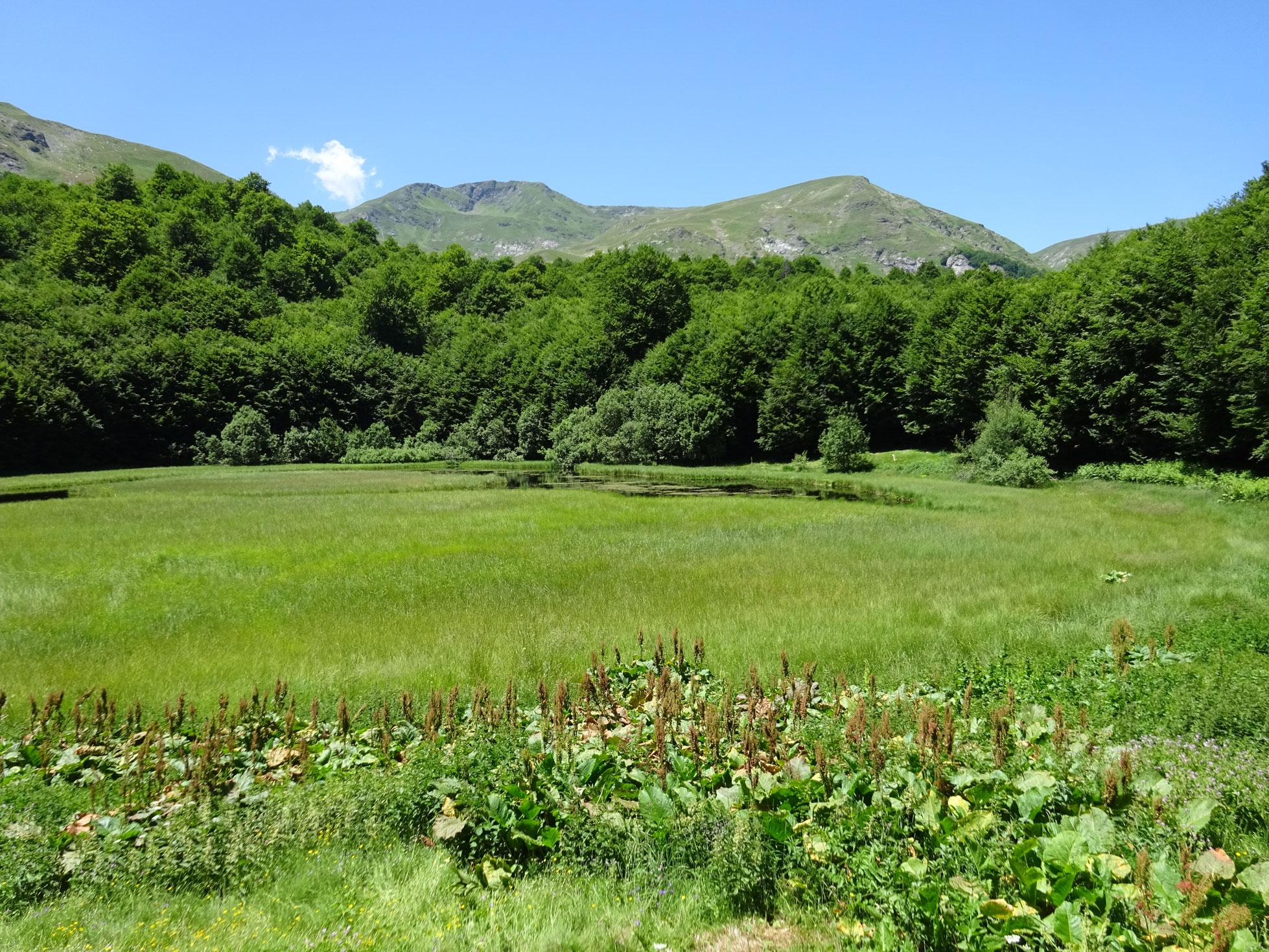 Trebiste to Lake Lokuv hike in Mavrovo National Park
