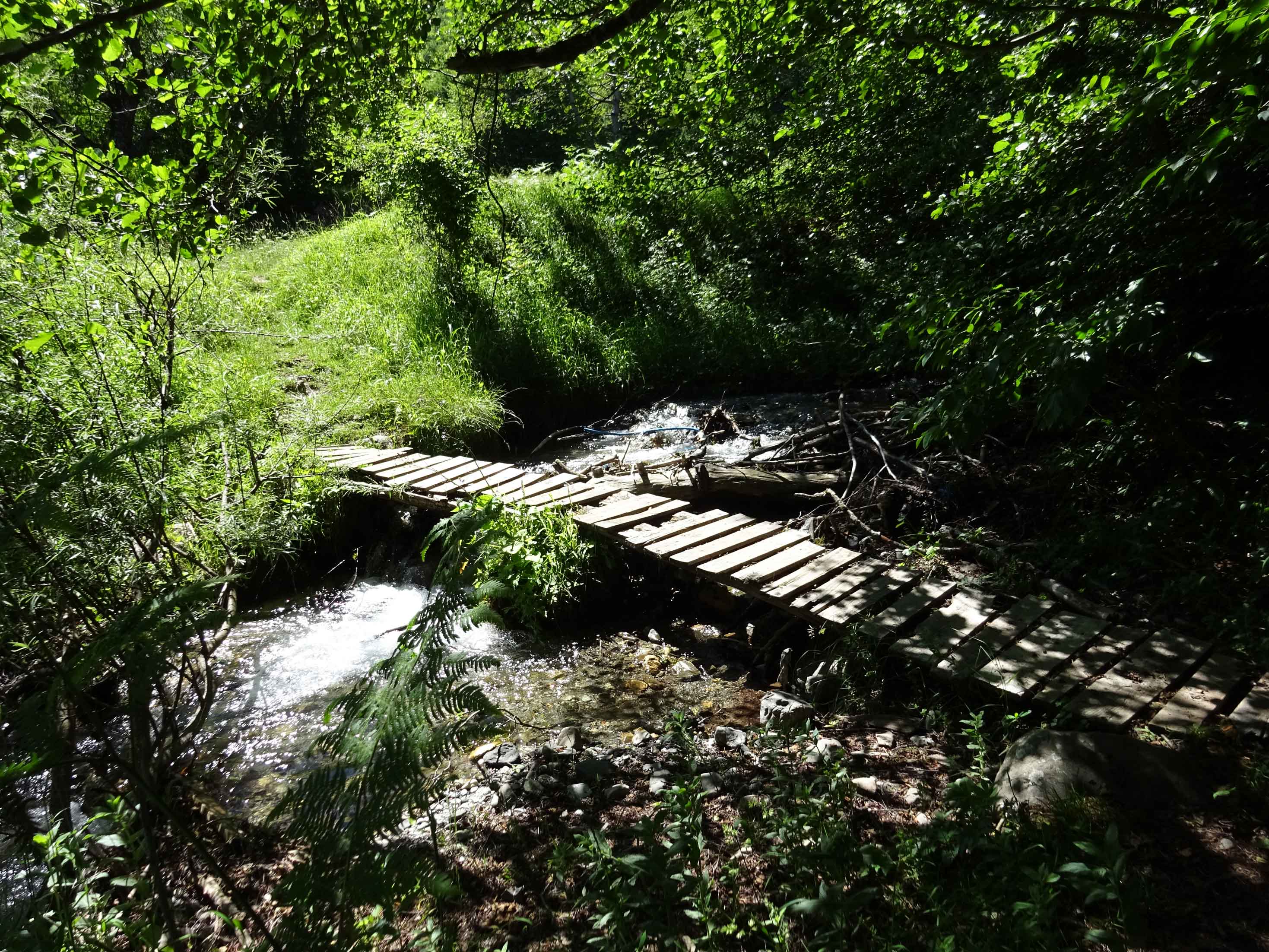 Bridge to Trebiste in Mavrovo National Park during hike to Lake Lokva