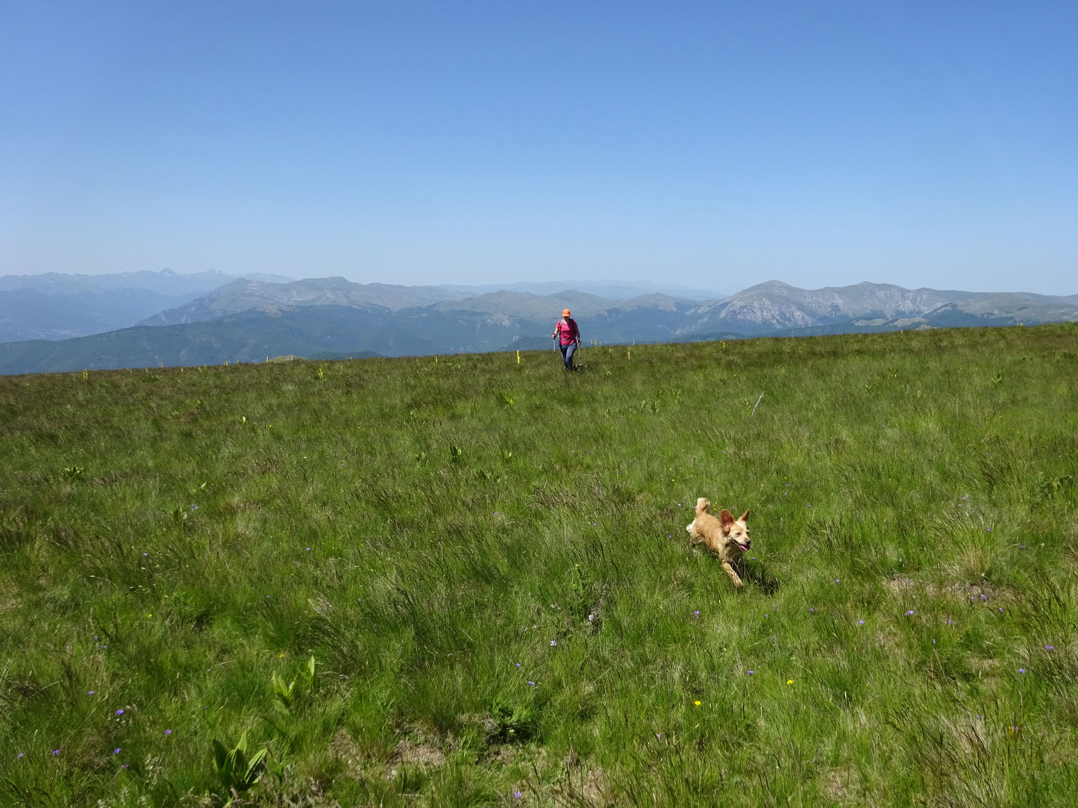 Gari Krsiser hike near Mavrovo National Park