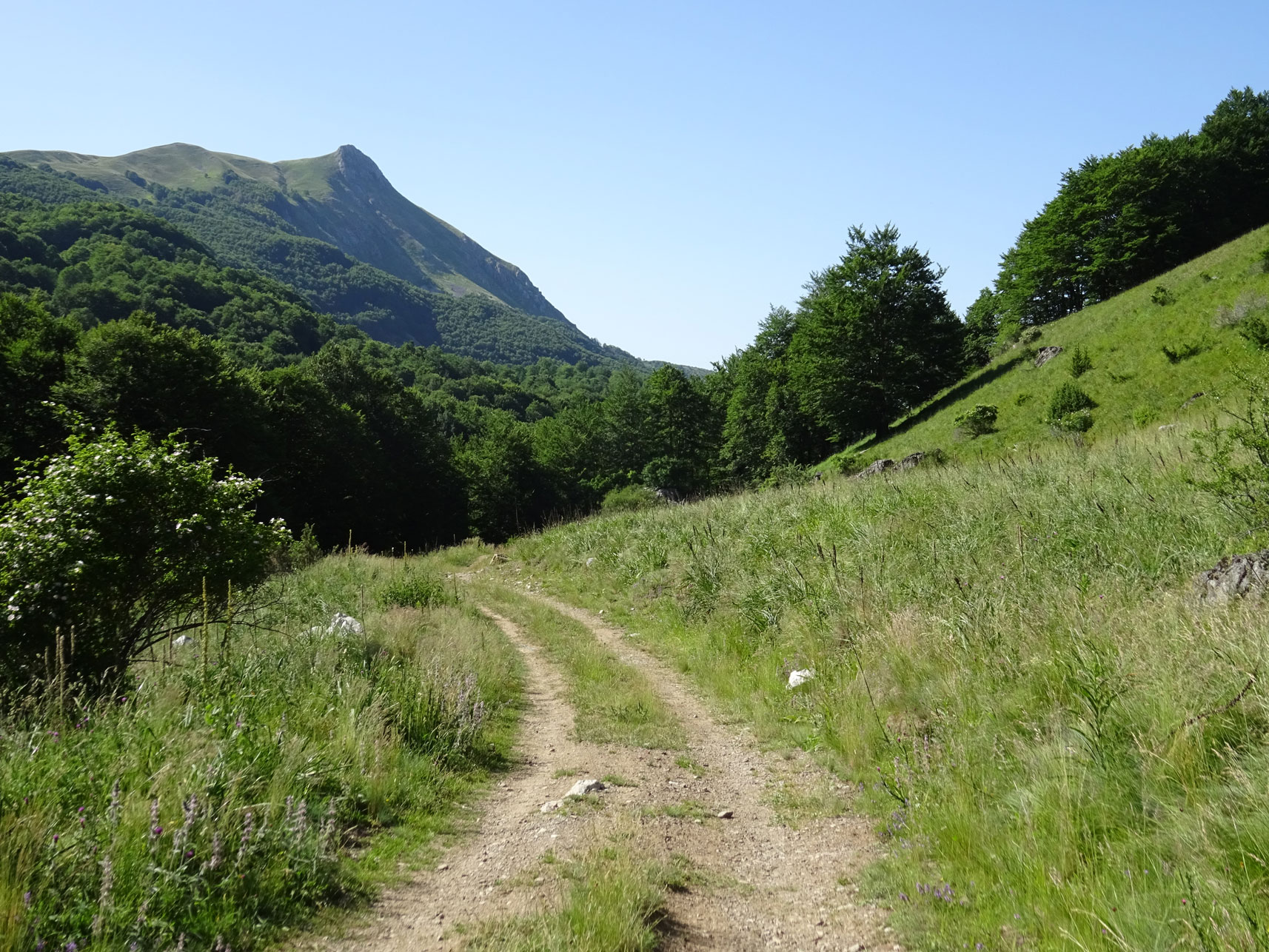 Dirtroad to Gari after Krsiser ridge near Mavrovo National Park