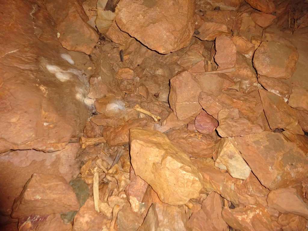 Kalina Dupka Cave in Mavrovo National Park