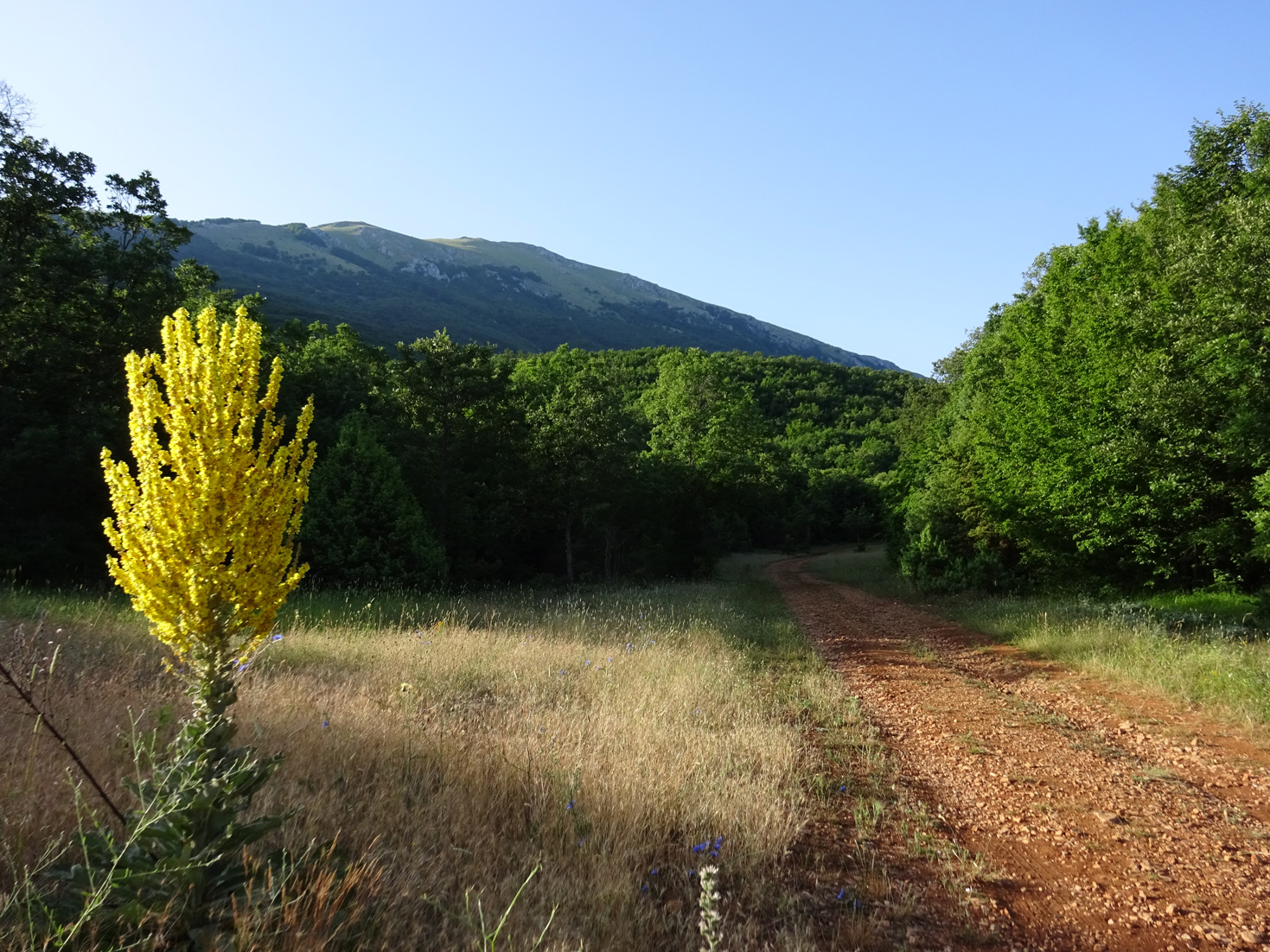 Pestani-Krstova cave-Trpejca-Ljubanista beach-Monastery of St Naum hike in Galicica National park