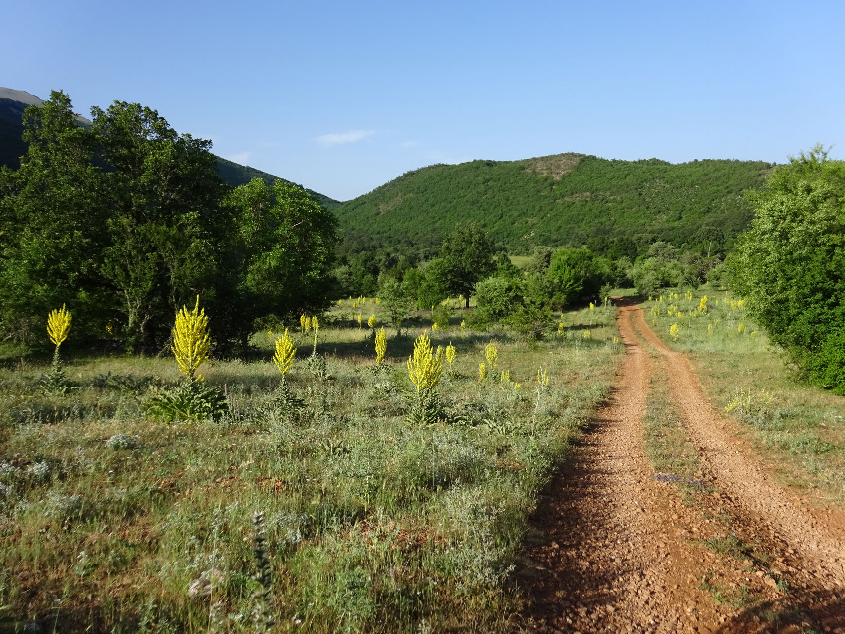Pestani-Krstova cave-Trpejca-Ljubanista beach-Monastery of St Naum hike in Galicica National park