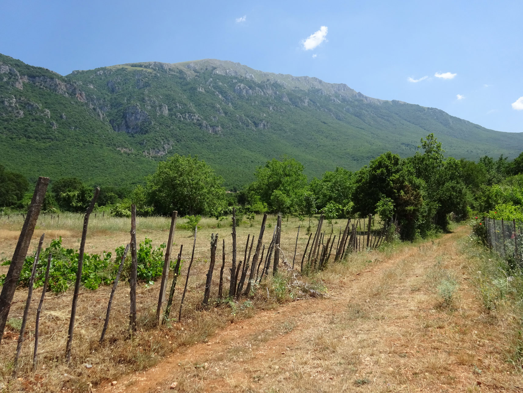 Pestani-Krstova cave-Trpejca-Ljubanista beach-Monastery of St Naum hike in Galicica National park