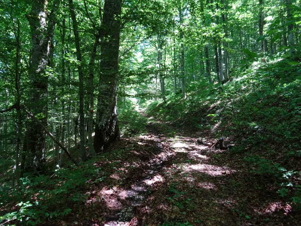 Stenje Leskoec Leskovska Cave Lipova Livada Pass Galicica National Park hiking hike