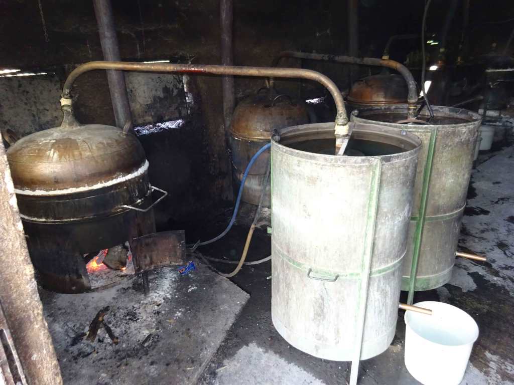 Kiwi rakija distillation north macedonia