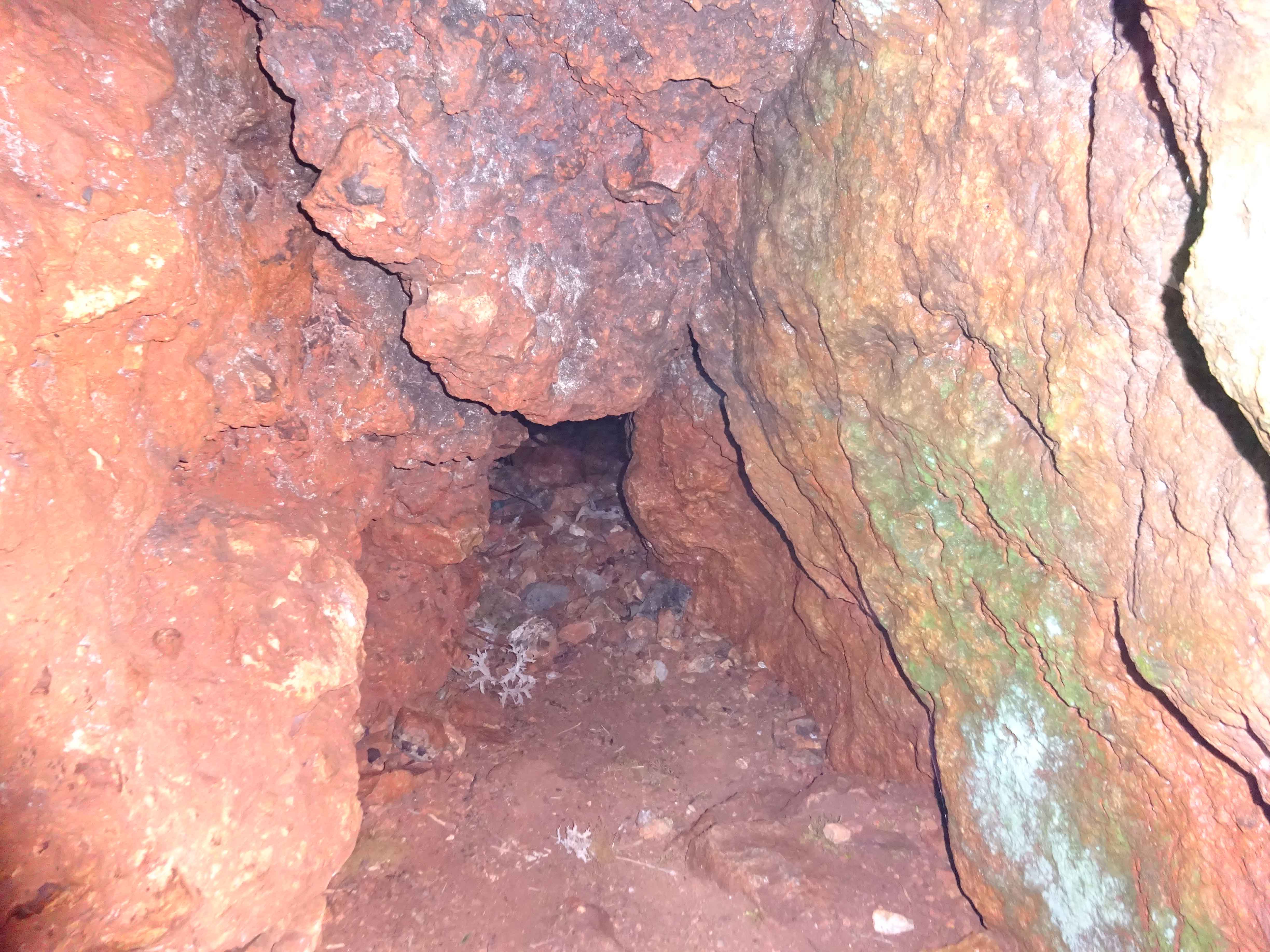 Meckina Dupka Bear Cave Ohrid Macedonia