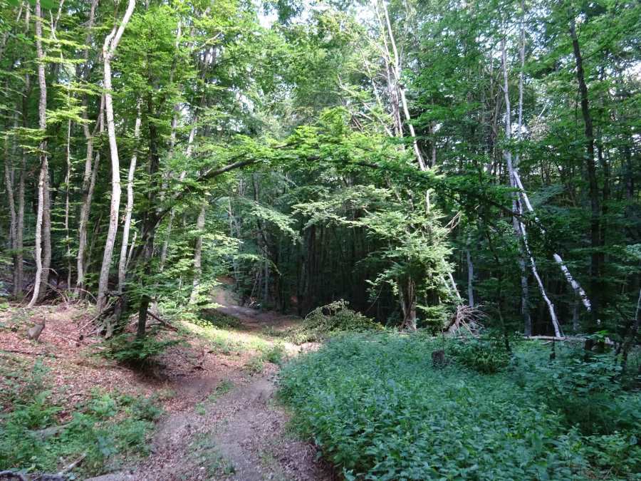 Skrebatno to Istok peak in Galicica National Park in Macedonia