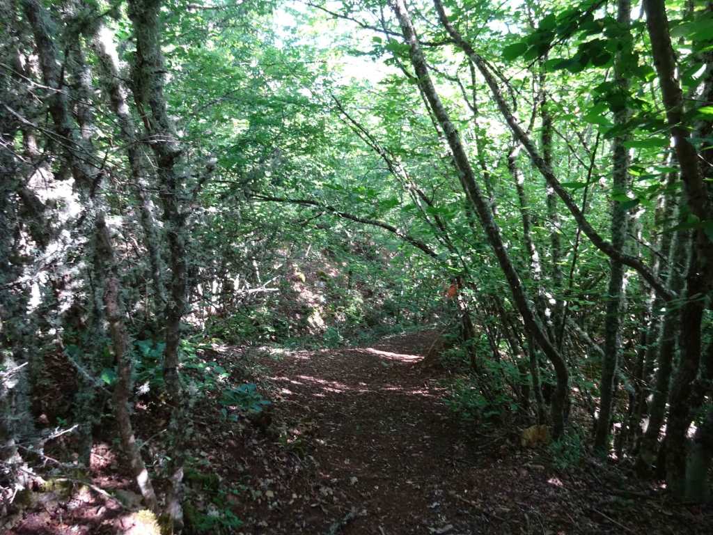 Velestovo to Elen peak in Galicica National Park near Ohrid in Macedonia