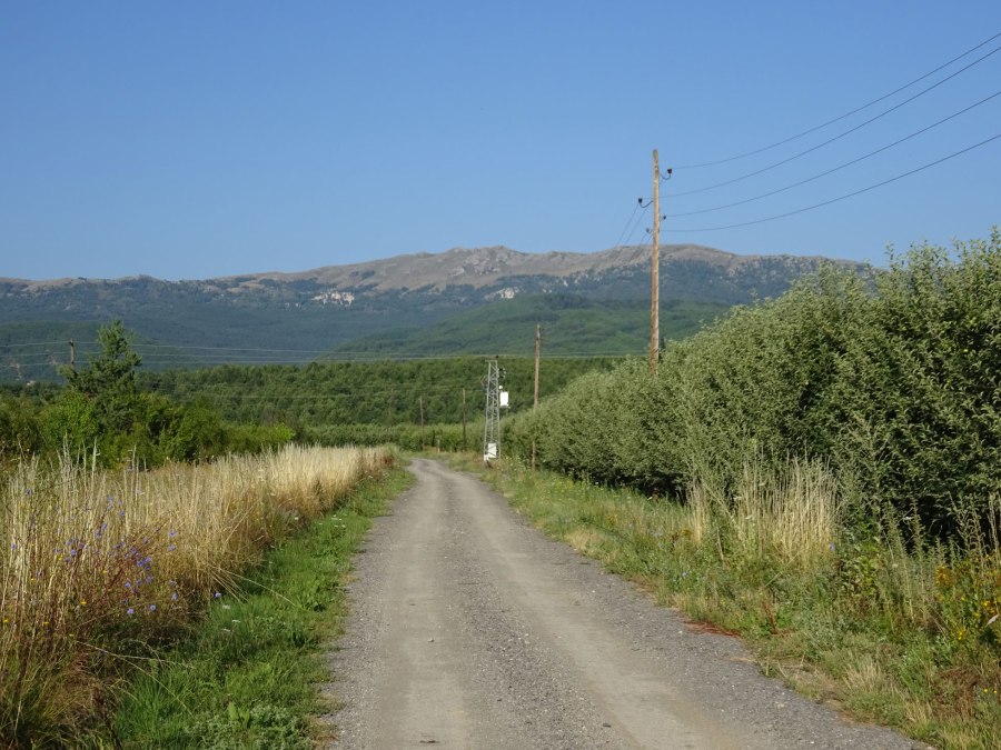 Apple Orchards near Resen during hike to Ohrid in Macedonia