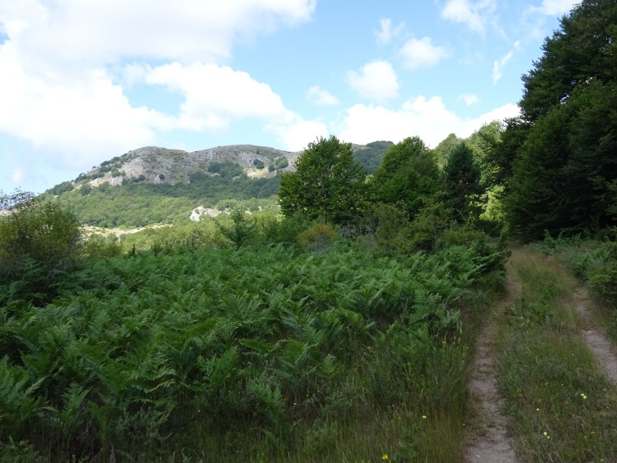 Istok peak during Resen to Ohrid hike in Galicica National Park in Macedonia