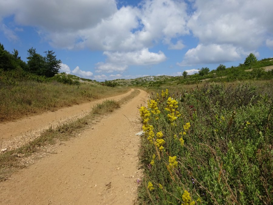 Resen to Ohrid in Galicica National Park in Macedonia