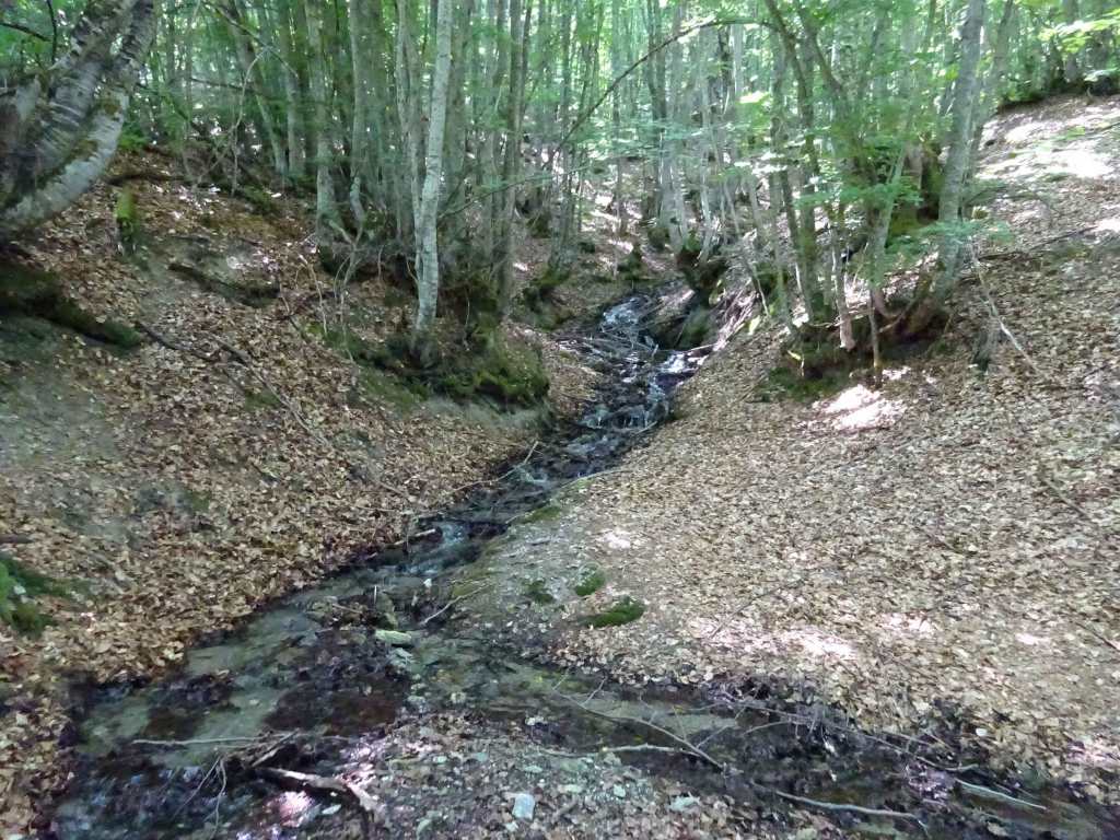 Velgosti to Skrebatno hike in Galicica National Park in Macedonia