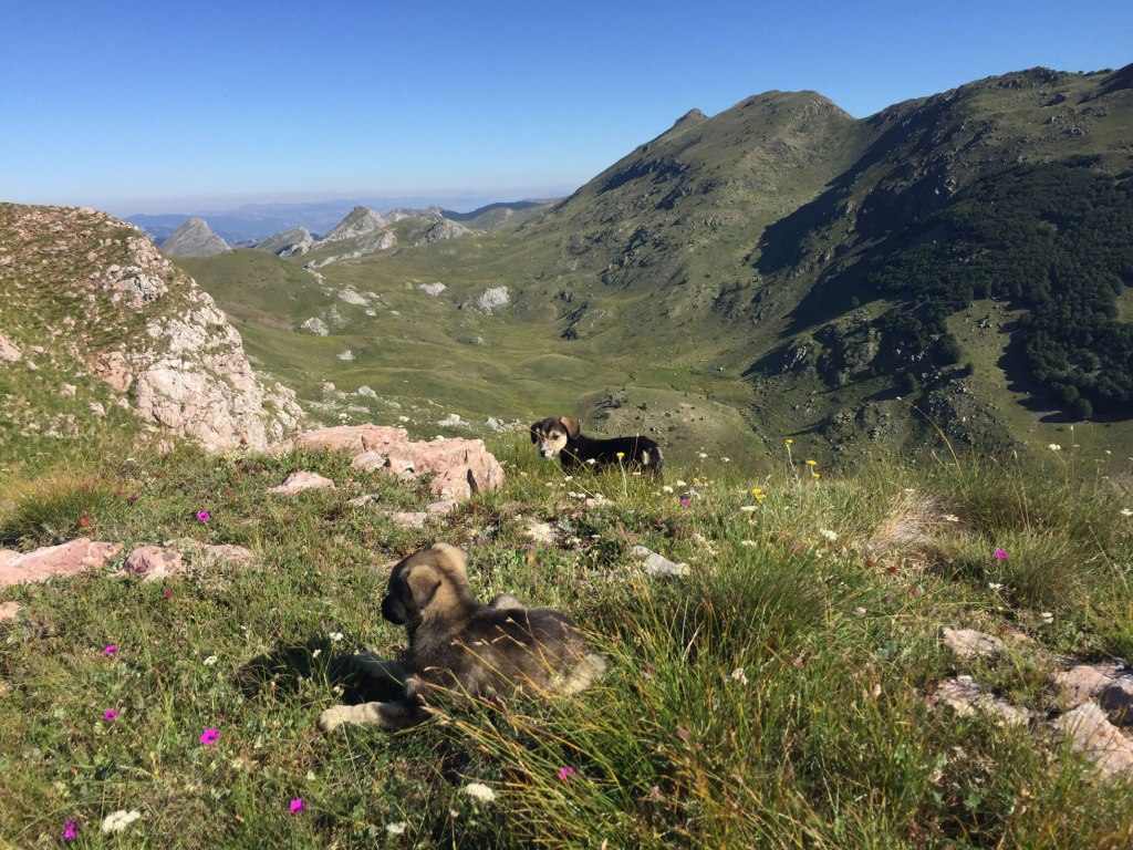 Gorna Belica to Radozda hike on Jablanica mountain in Macedonia