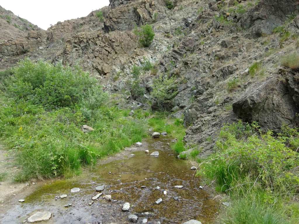 stream kuckovo hike north macedonia