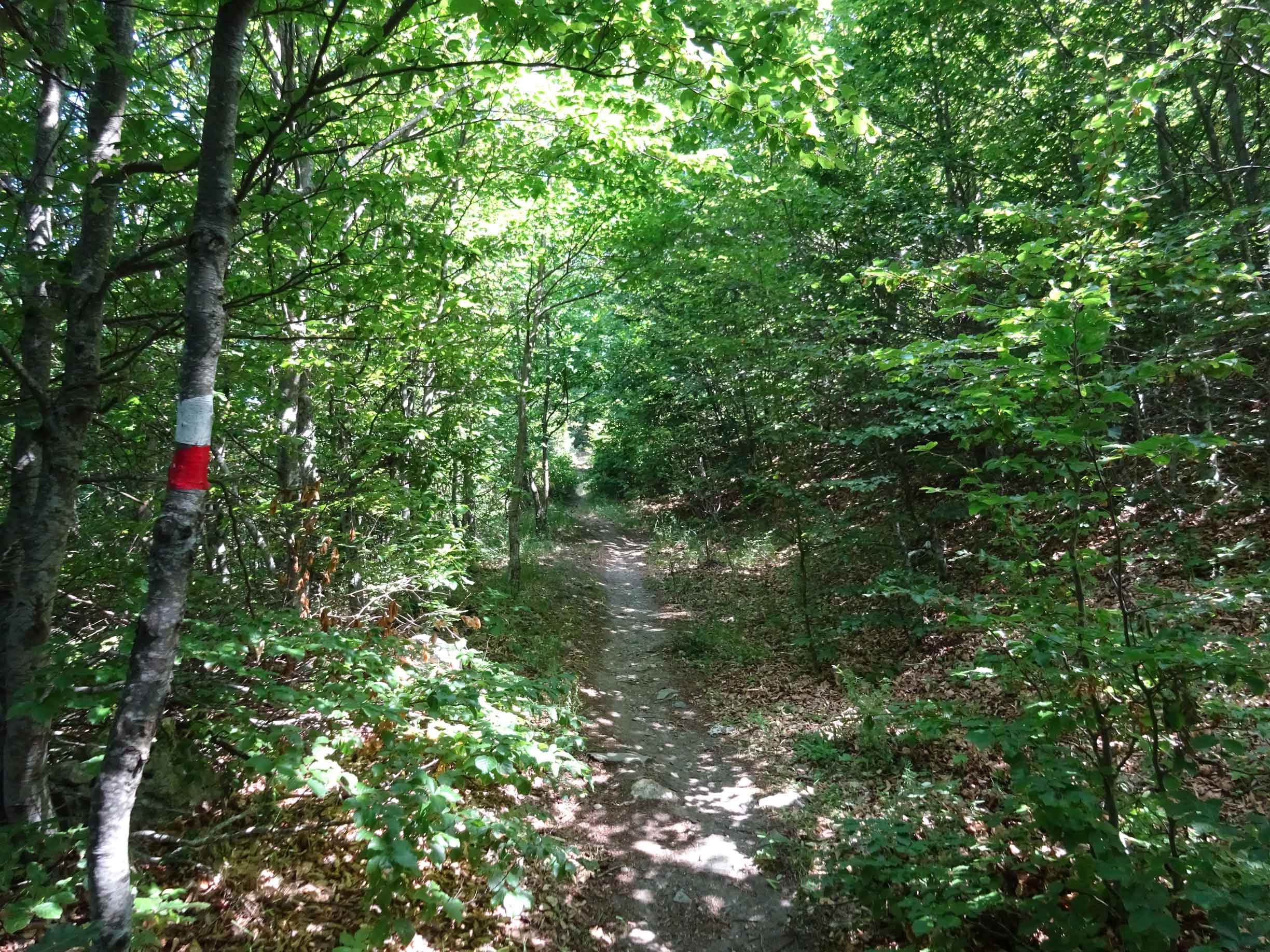 Brodec Brodets Crn Kamen Przhar peak vrv Hiking North Macedonia