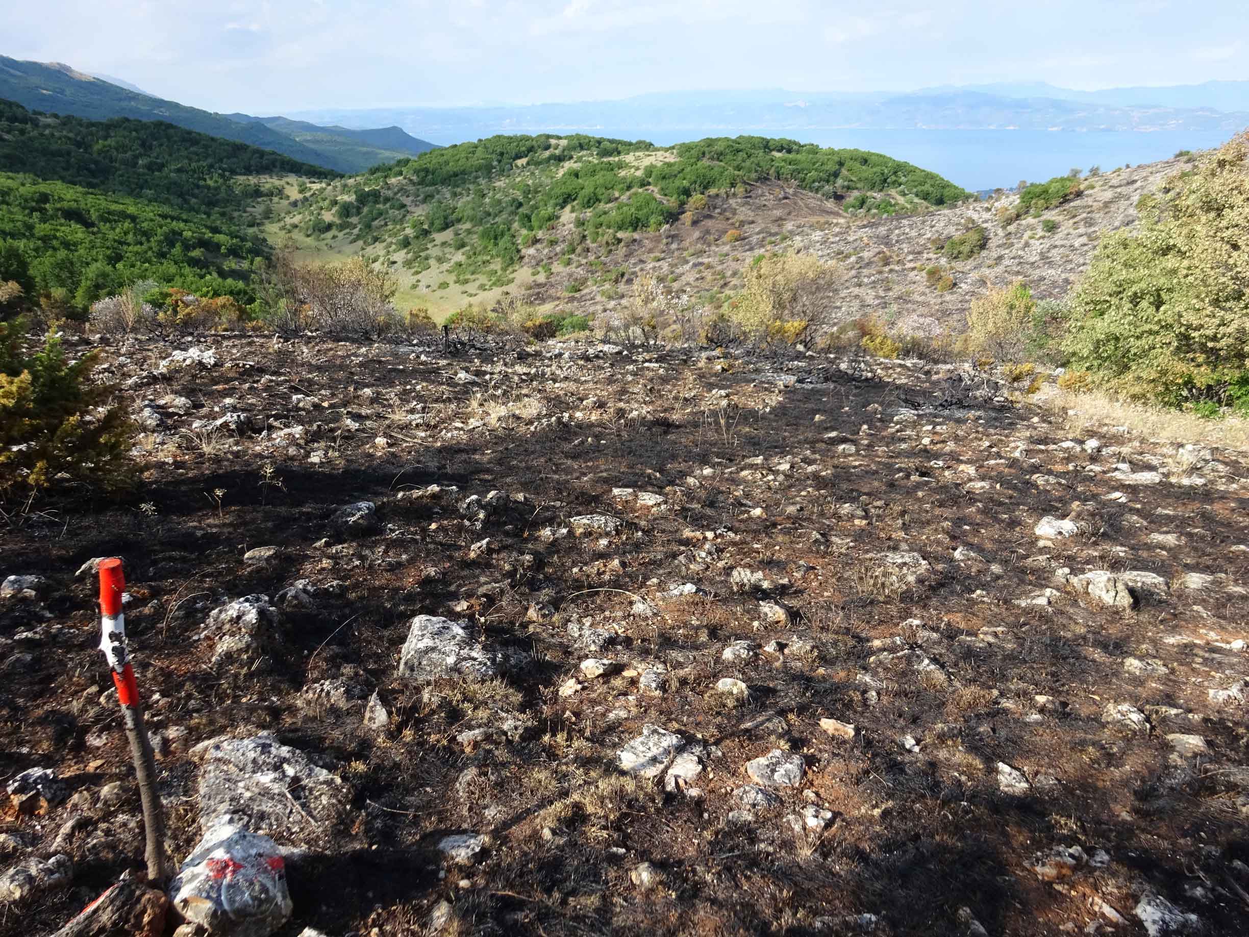 Leskoec Leskoets Galicica National Park hiking North Macedonia