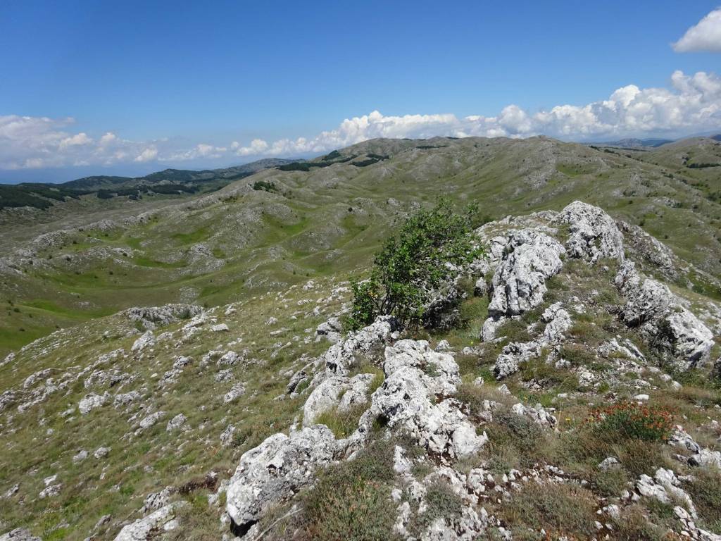 Galicica National Park Tomoros peak hiking North Macedonia