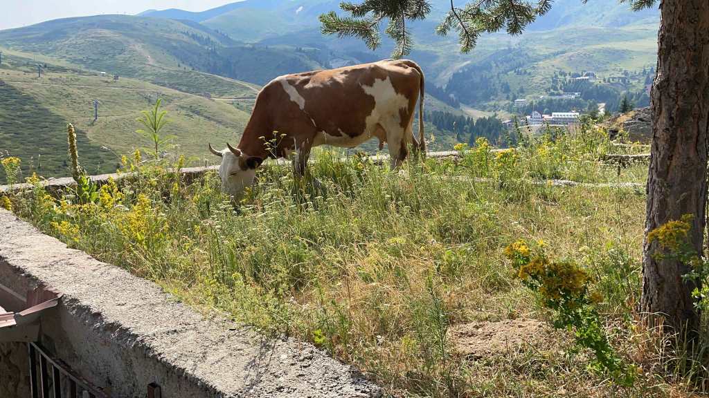 Popova Sapka Tetovo Hiking North Macedonia