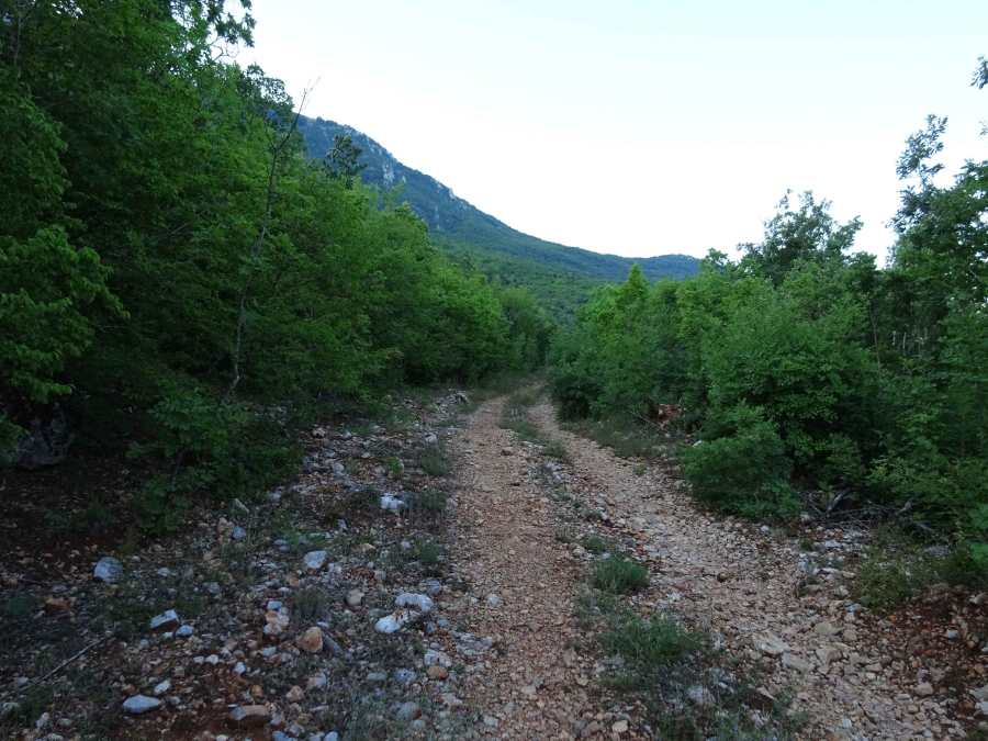 Magaro Kota F10 peak Galicica National Park hiking North Macedonia