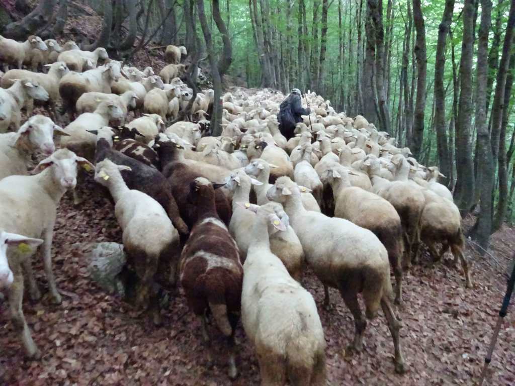 Gorna Belica Vevchanska Lokva hiking North Macedonia