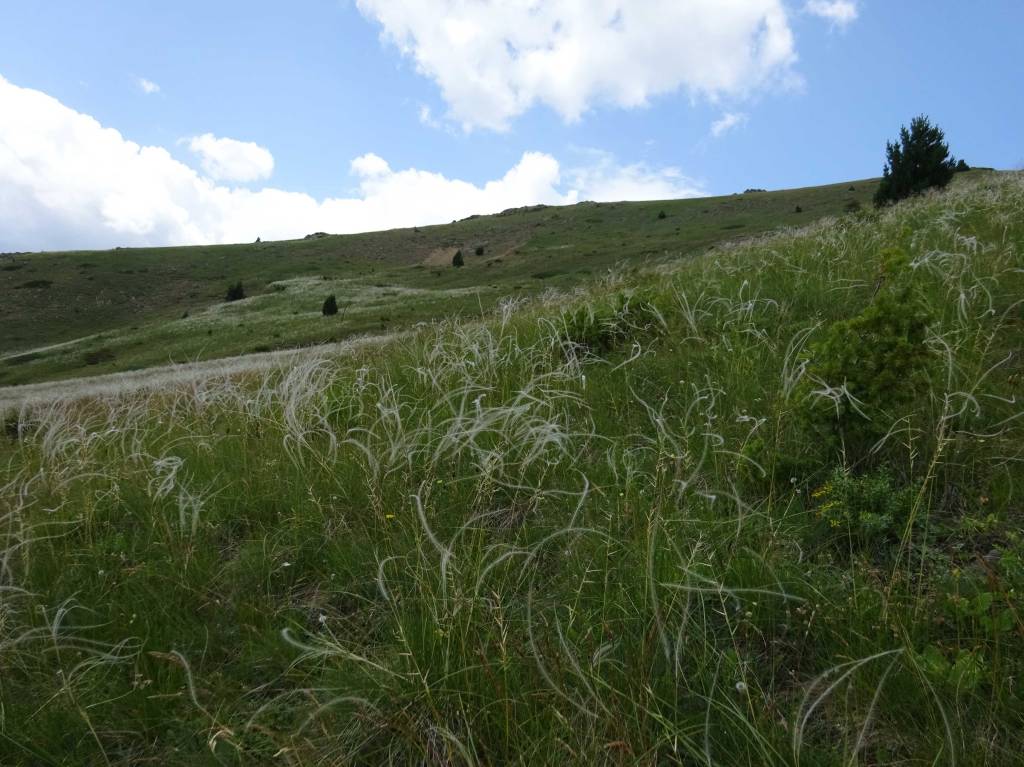 Gorna Belica Vevchanska Lokva hiking North Macedonia