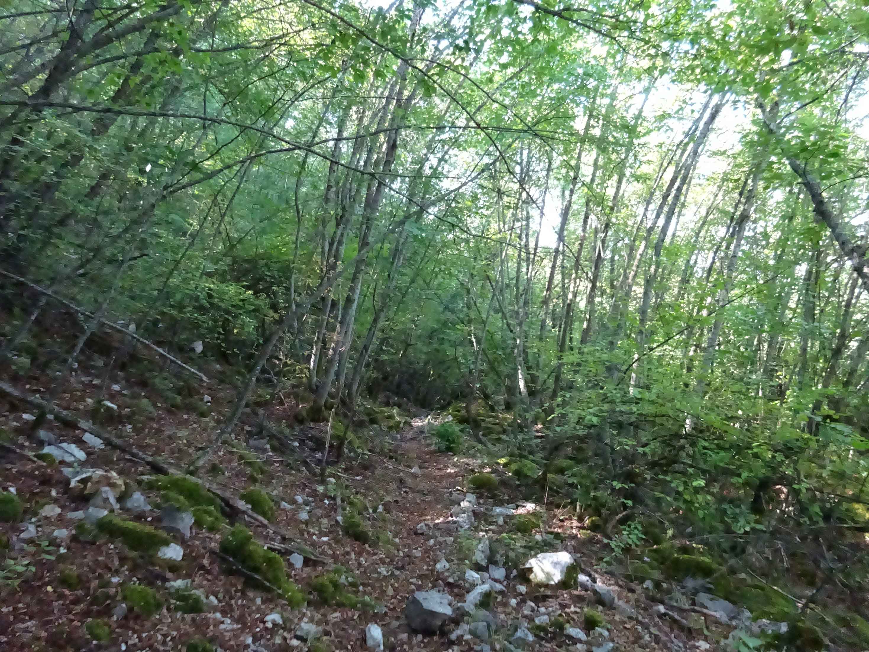 Hiking North Macedonia Ohrid Galicica National Park
